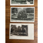 Greeley CO Colorado RPPC Postcards Lot (3) City Park, Pioneers Fountain, Main St