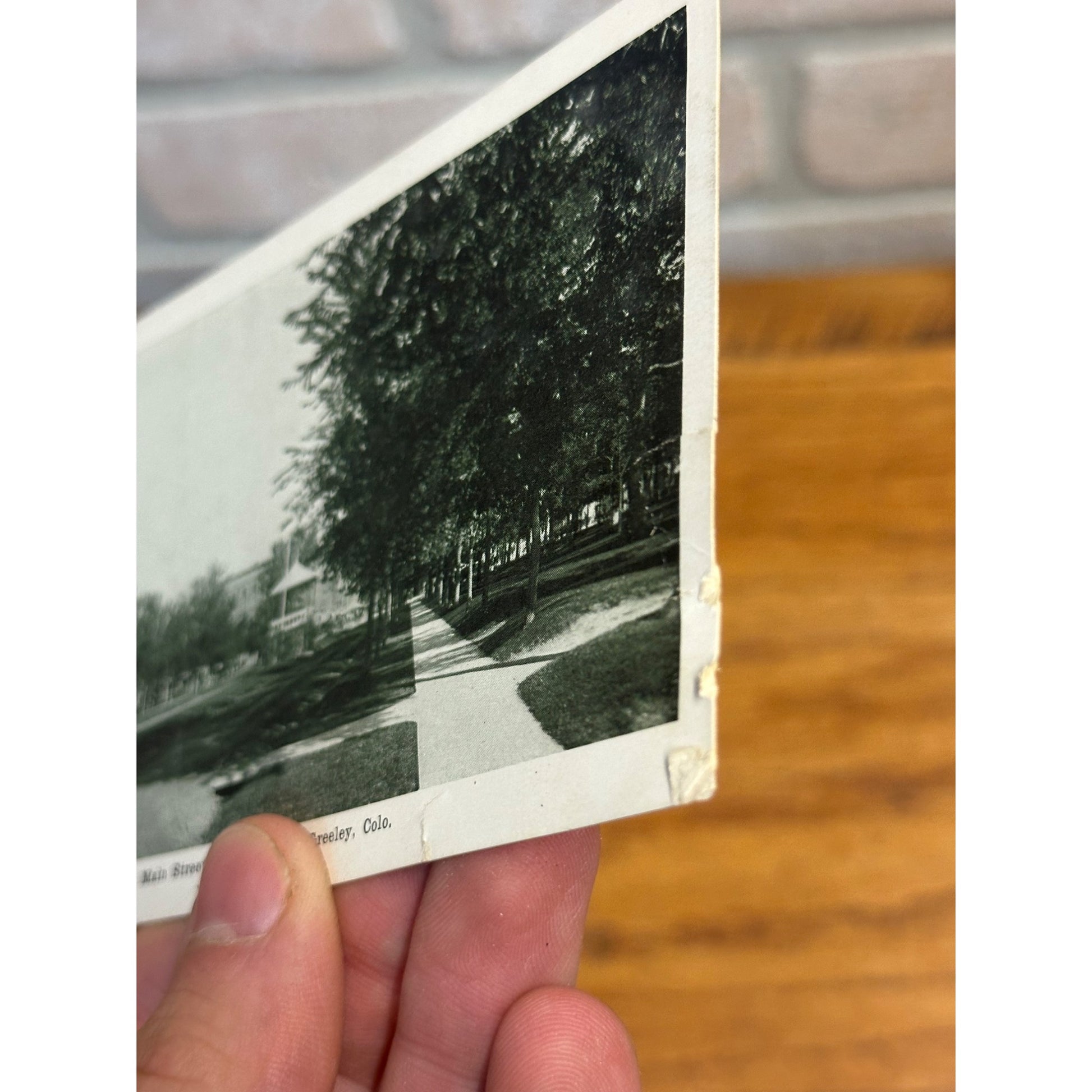 Greeley CO Colorado RPPC Postcards Lot (3) City Park, Pioneers Fountain, Main St