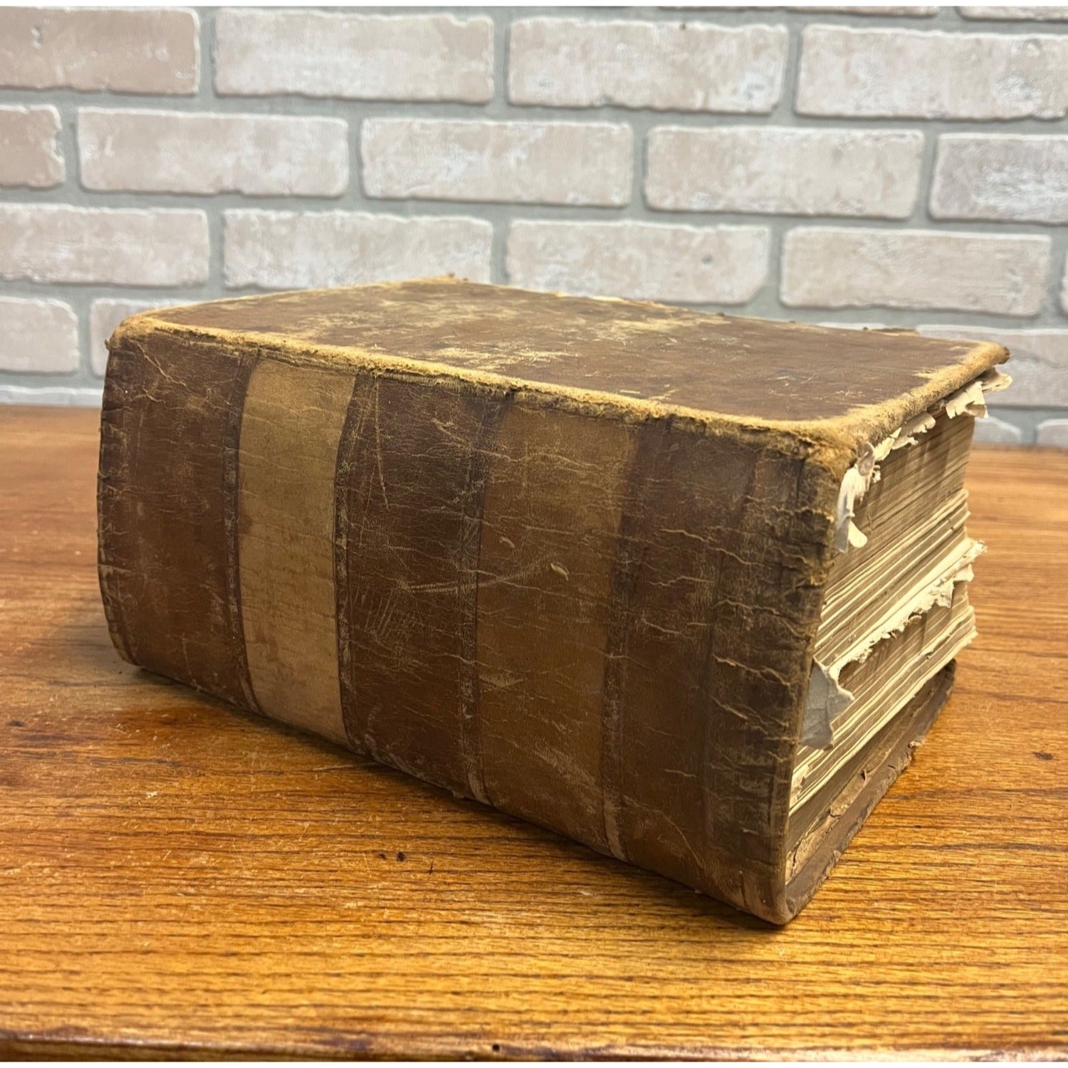 The Dispensatory Of The United States 1899 Pharmaceutical Pharmacy Drugs Book