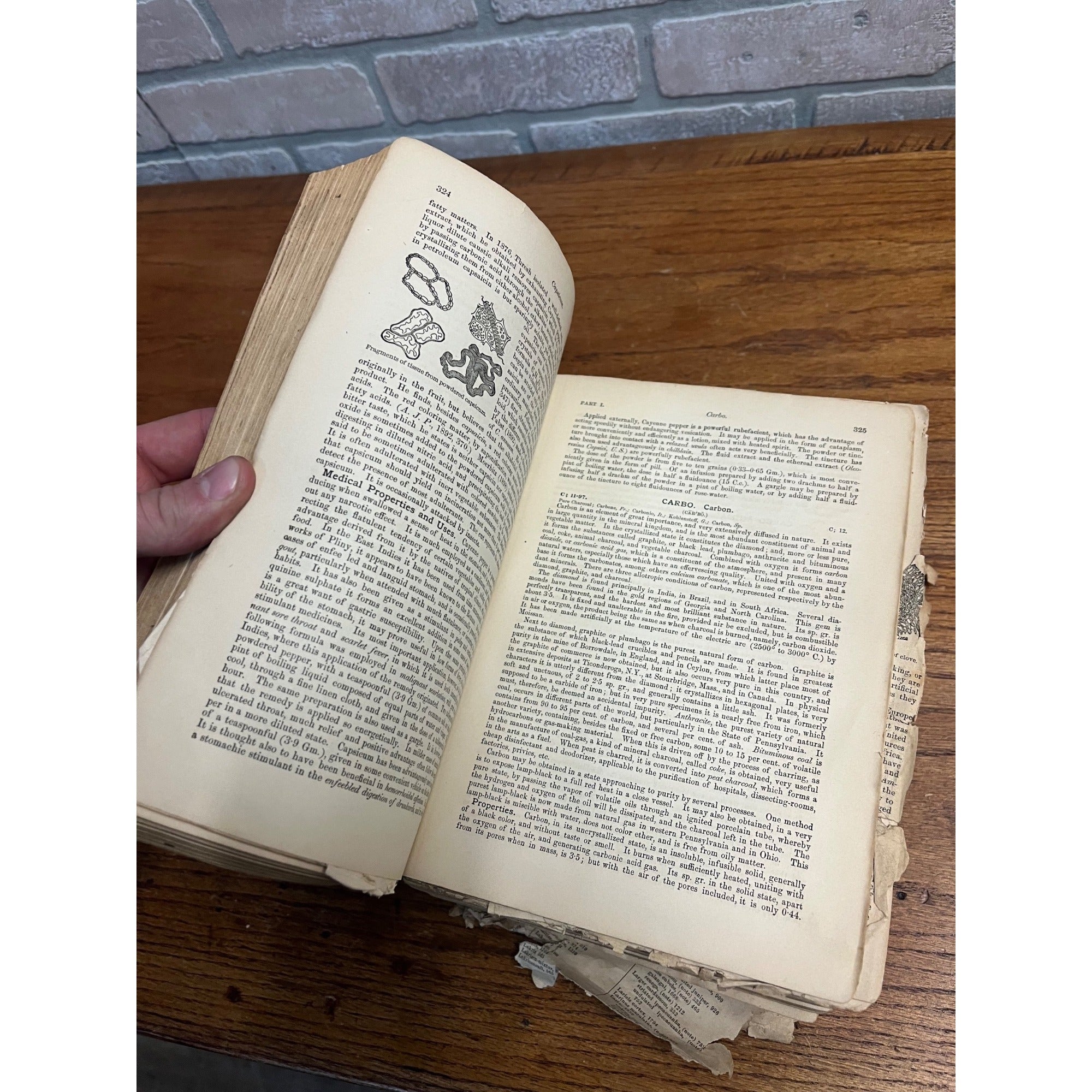 The Dispensatory Of The United States 1899 Pharmaceutical Pharmacy Drugs Book