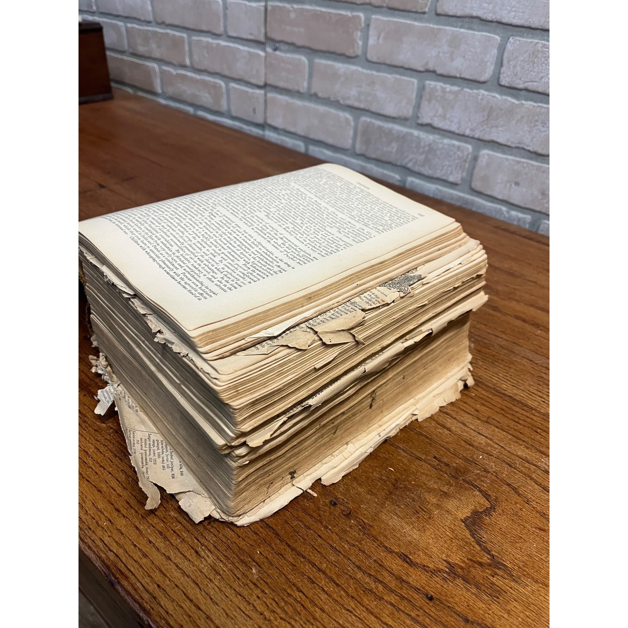 The Dispensatory Of The United States 1899 Pharmaceutical Pharmacy Drugs Book