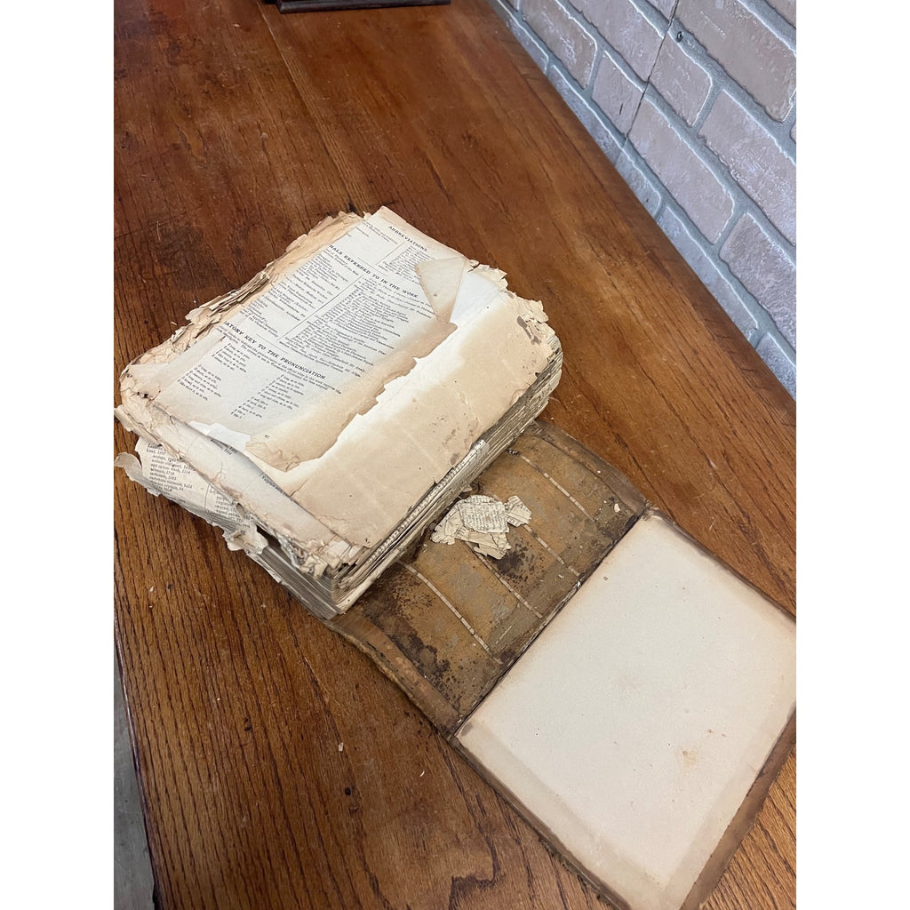 The Dispensatory Of The United States 1899 Pharmaceutical Pharmacy Drugs Book