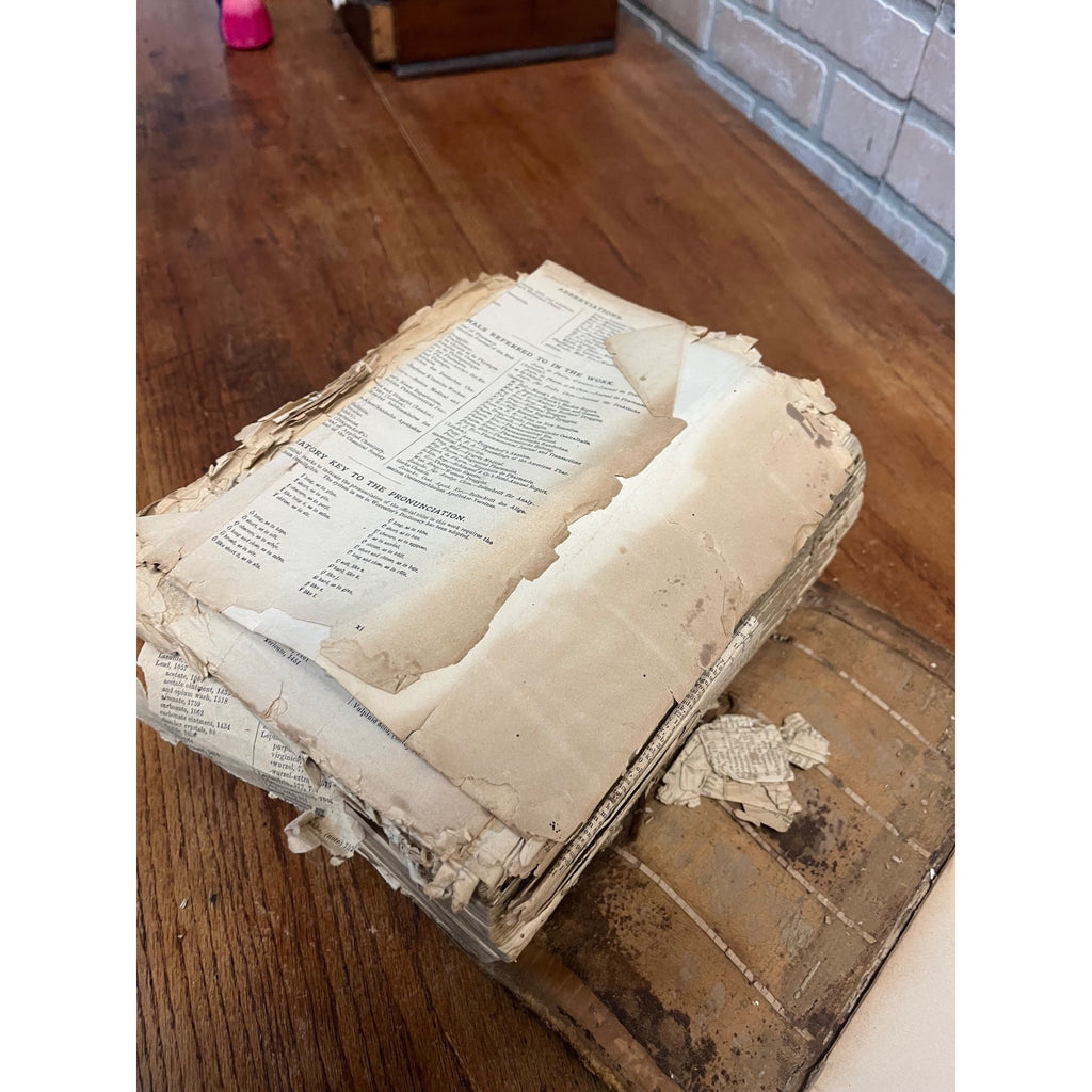 The Dispensatory Of The United States 1899 Pharmaceutical Pharmacy Drugs Book