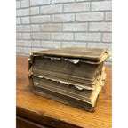 The Dispensatory Of The United States 1899 Pharmaceutical Pharmacy Drugs Book