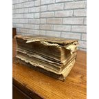 The Dispensatory Of The United States 1899 Pharmaceutical Pharmacy Drugs Book