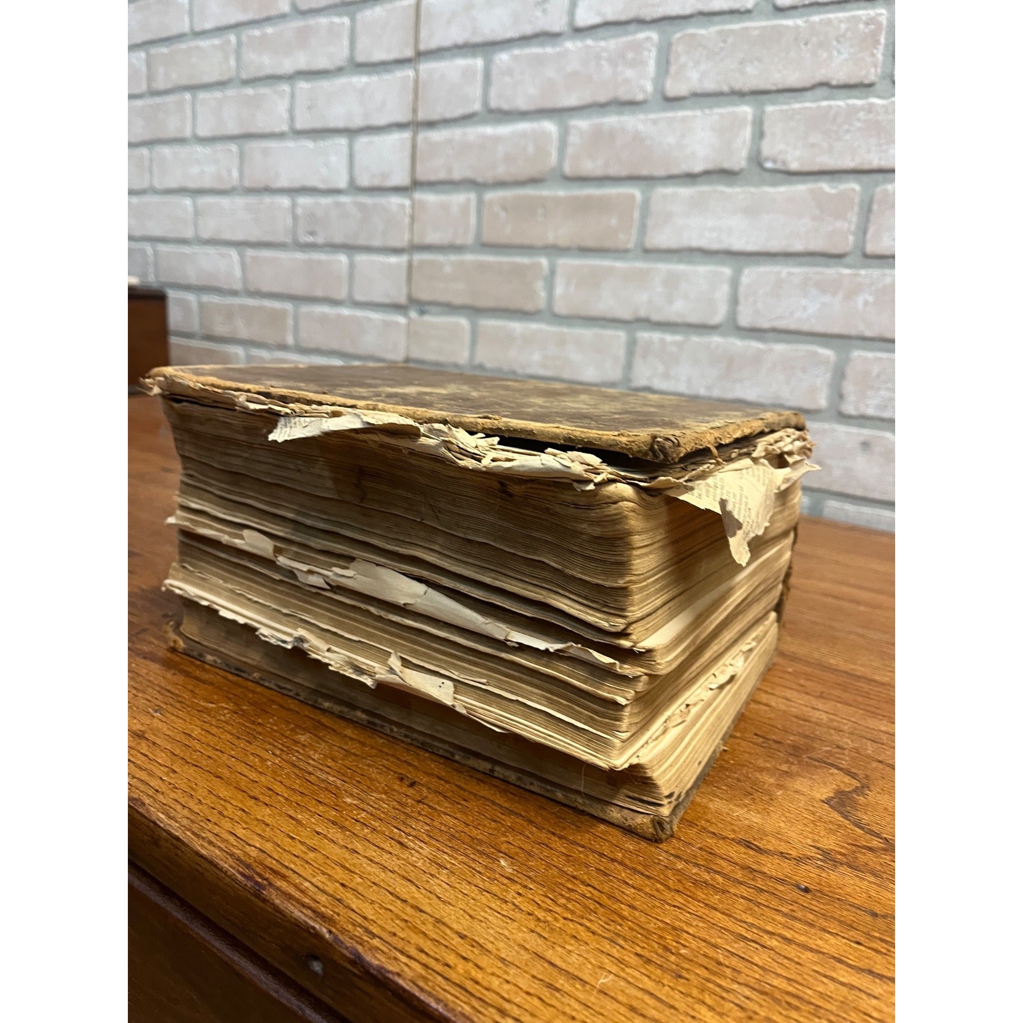 The Dispensatory Of The United States 1899 Pharmaceutical Pharmacy Drugs Book