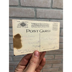 RARE Vintage Halloween Postcard Weather Bird Peters Shoe Co. Advertising