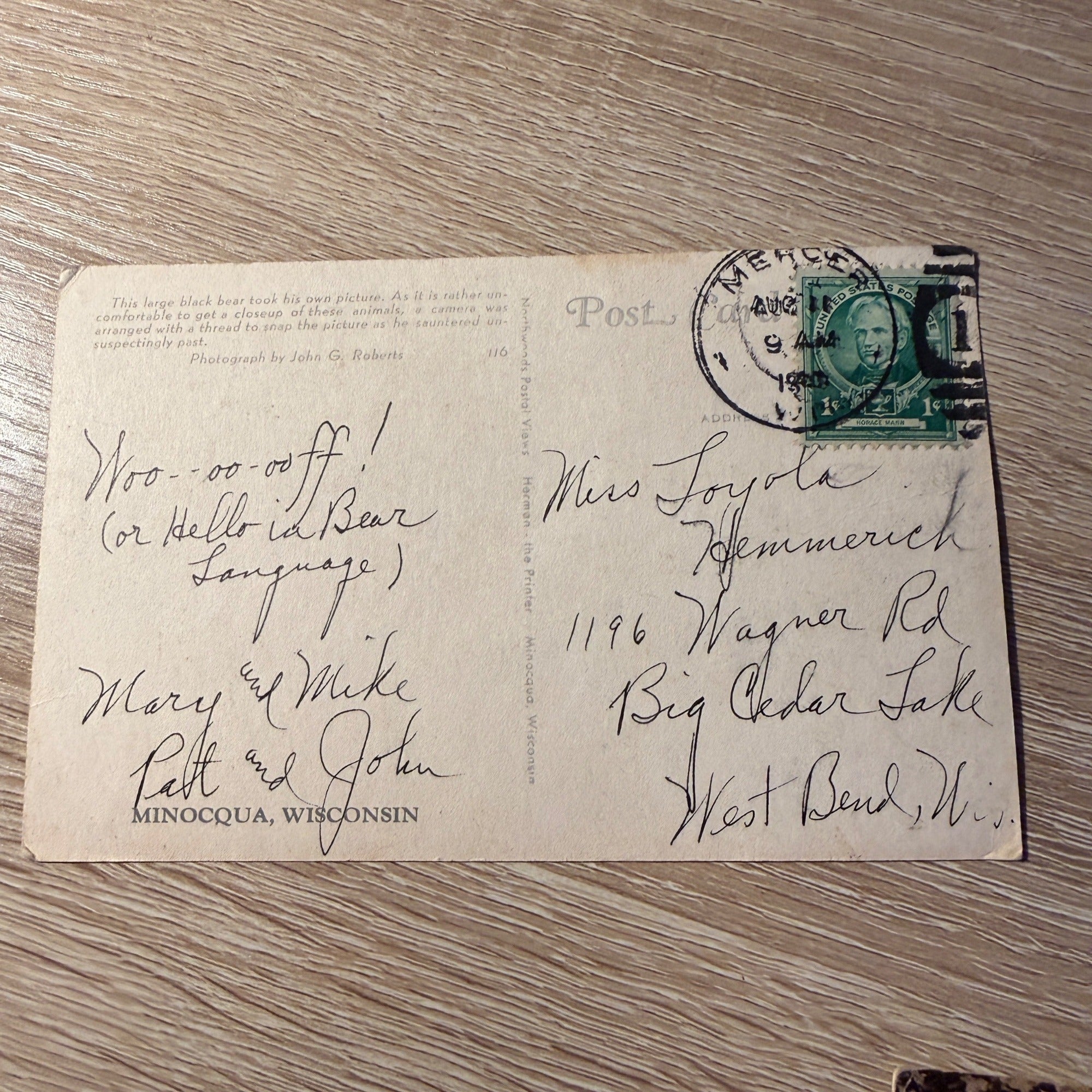 RPPC Postcard Minocqua Wis Black bear