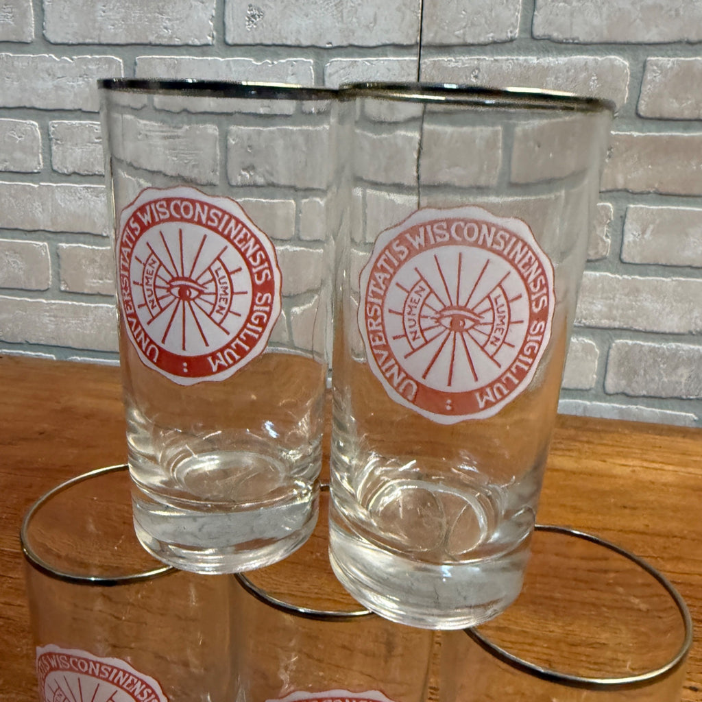 (5) Vintage 1960s University of Wisconsin UW Alumni Glasses Sigillum Lumen Eye