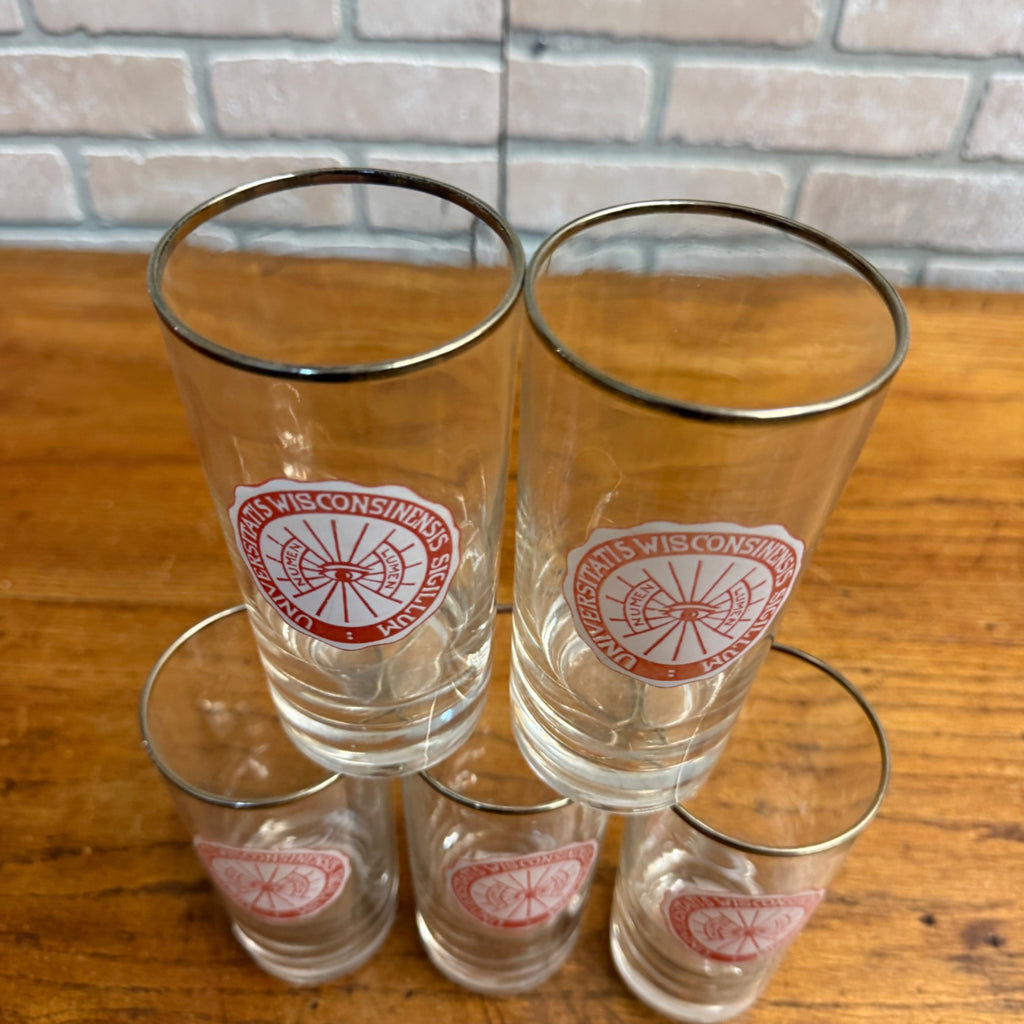 (5) Vintage 1960s University of Wisconsin UW Alumni Glasses Sigillum Lumen Eye