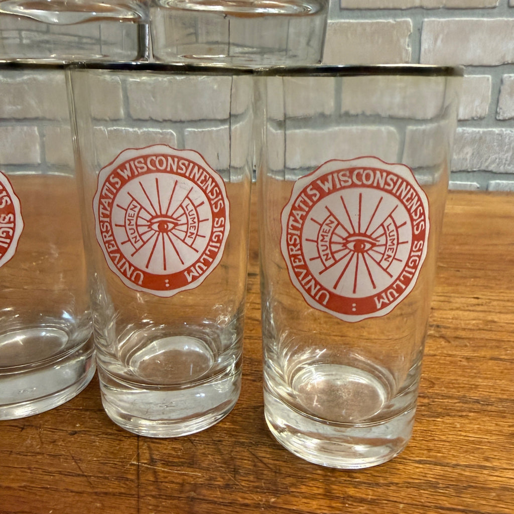 (5) Vintage 1960s University of Wisconsin UW Alumni Glasses Sigillum Lumen Eye
