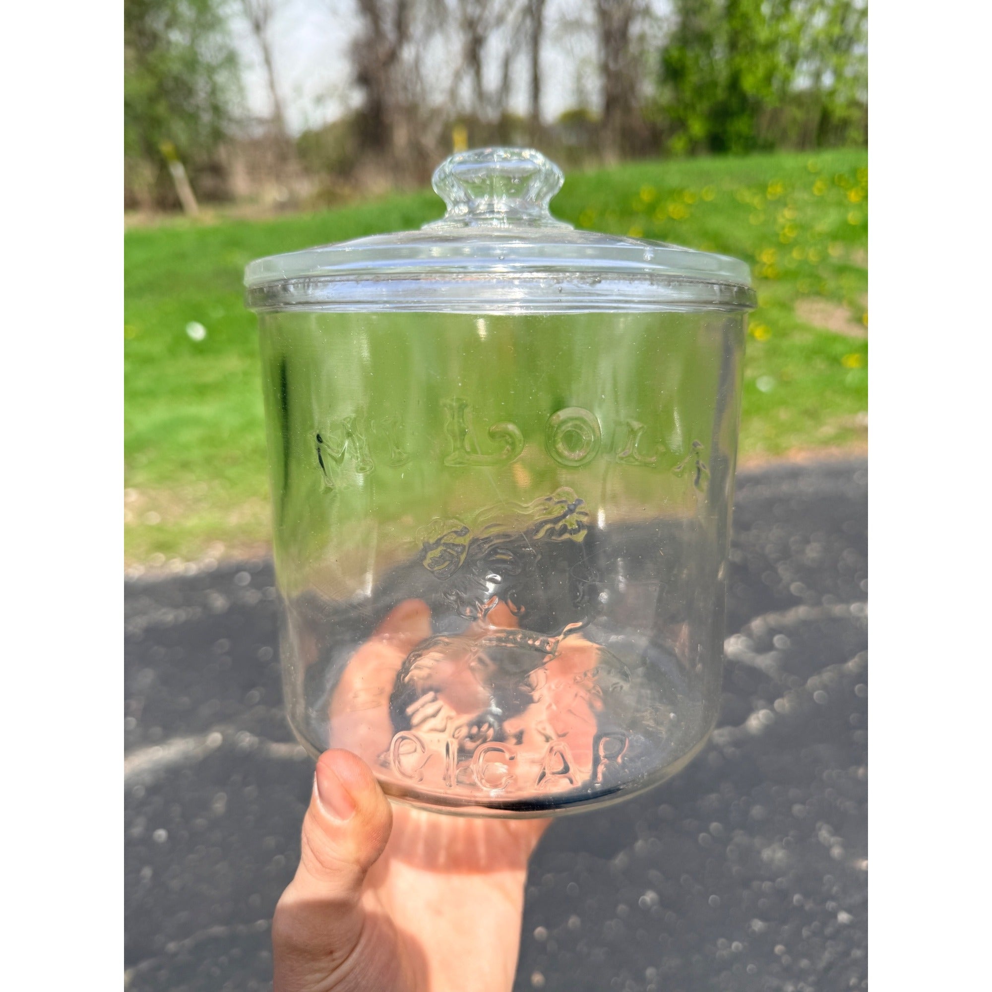 Vintage 1920's Mi Lola Glass Cigar Jar With Lid Tobacco Advertising