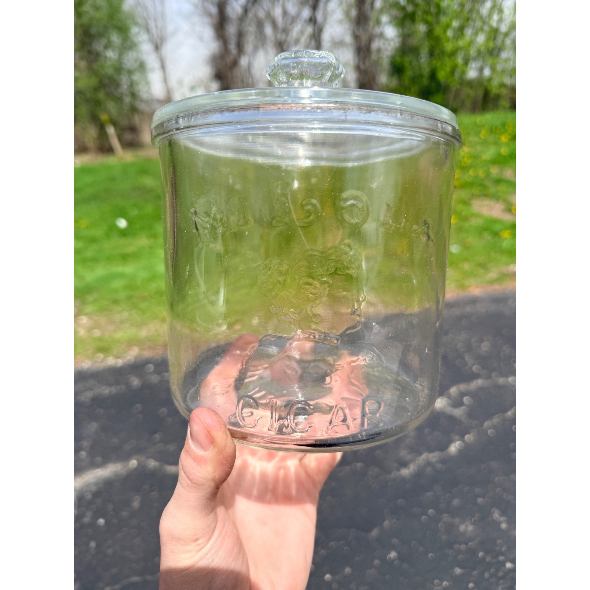 Vintage 1920's Mi Lola Glass Cigar Jar With Lid Tobacco Advertising