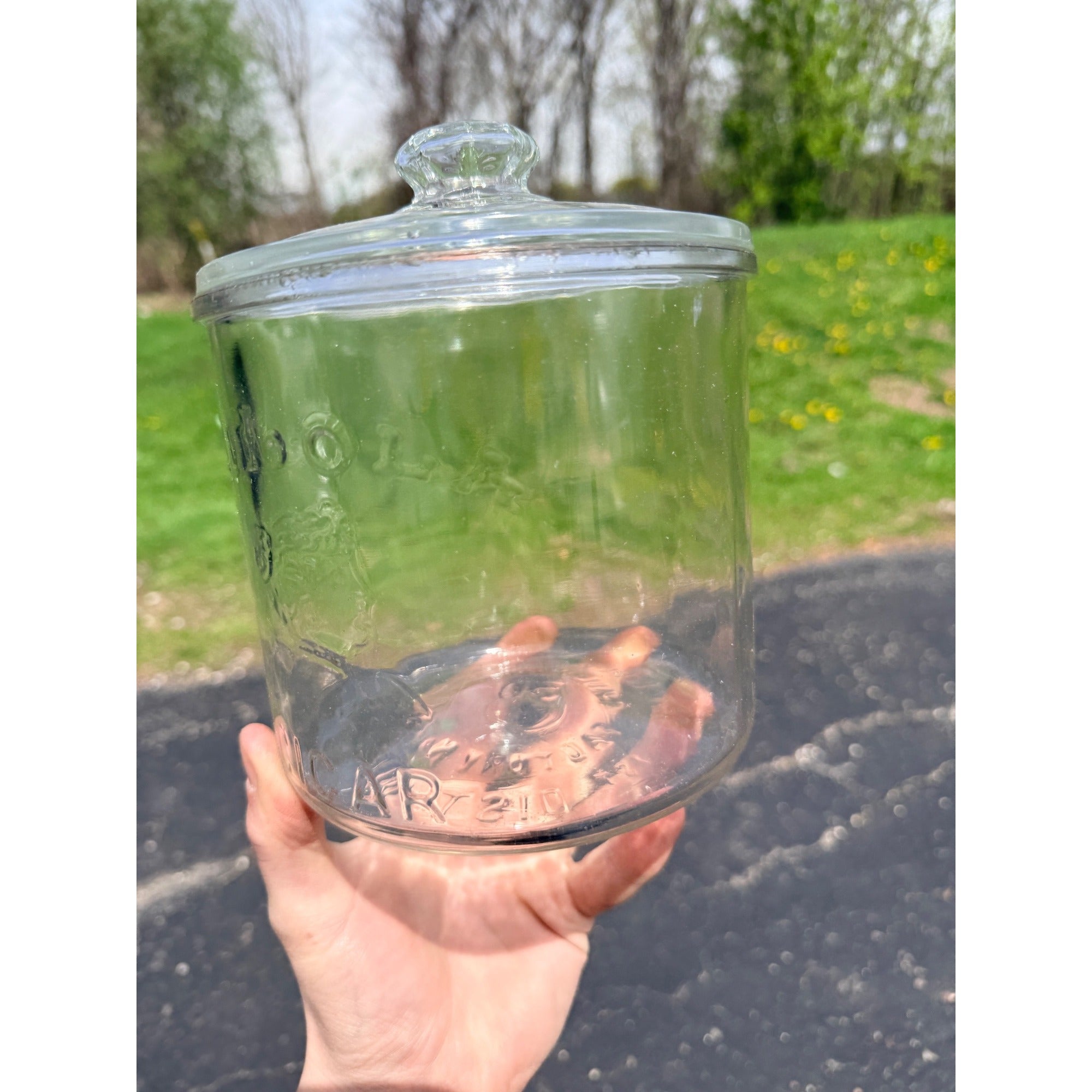 Vintage 1920's Mi Lola Glass Cigar Jar With Lid Tobacco Advertising