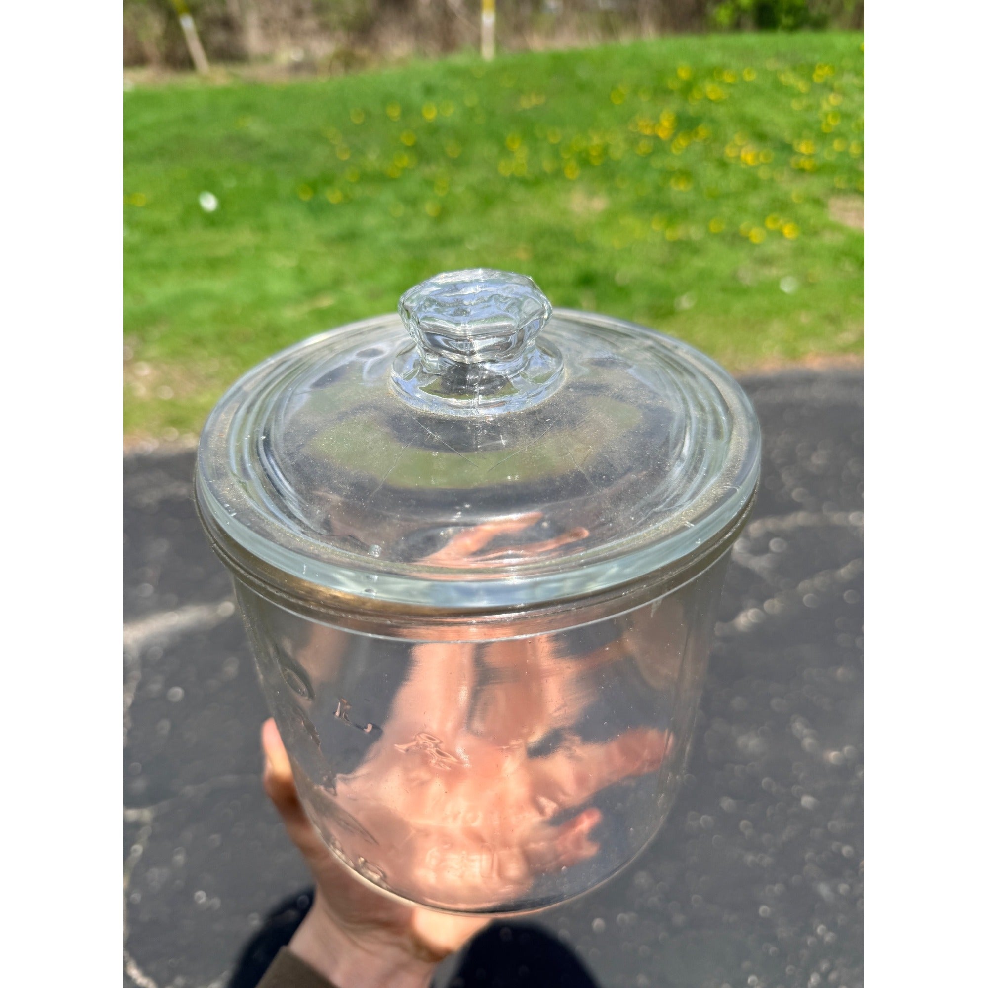 Vintage 1920's Mi Lola Glass Cigar Jar With Lid Tobacco Advertising