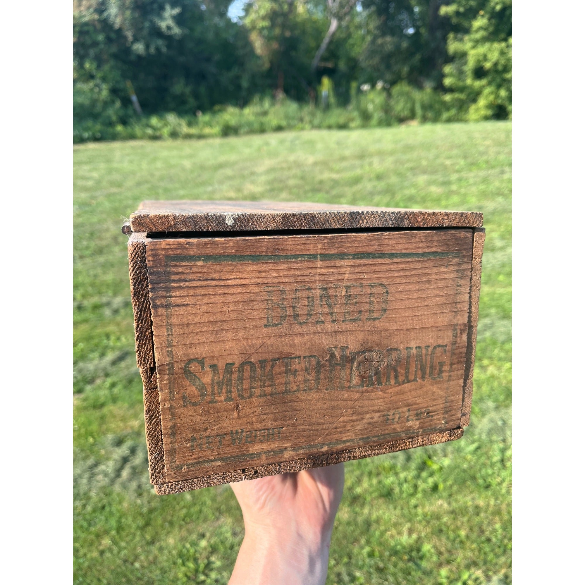 Vintage 1900s Boned Smoked Herring Fish Advertising Shipping Crate 10lbs Cabin Decor