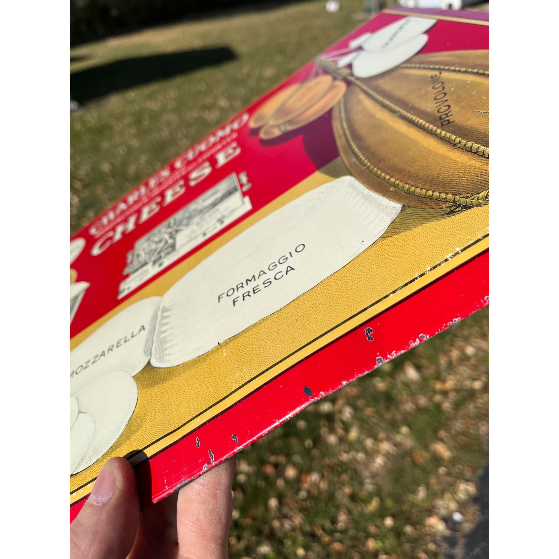 RARE Vintage Early 1900s Charles Cuomo Cheese New York TOC Advertising Sign