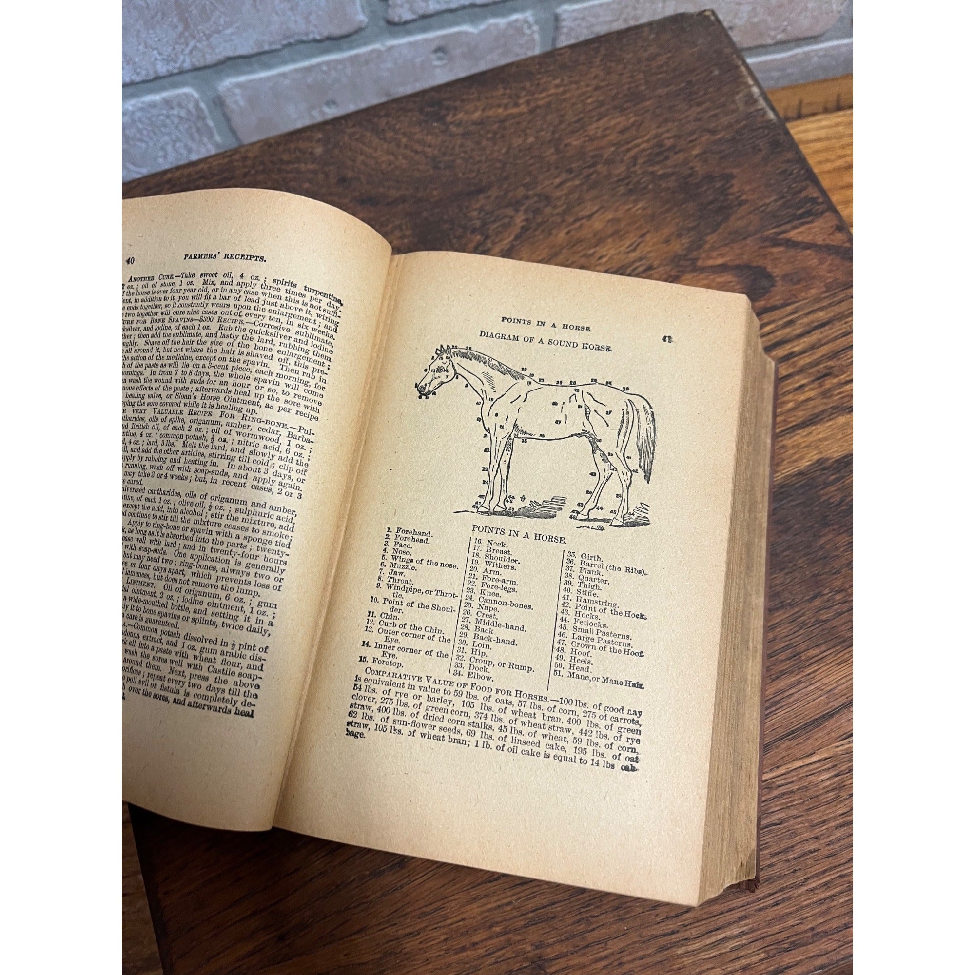 The Universal Assistant or 1,000,000 Industrical Facts Hardcover Book Antique