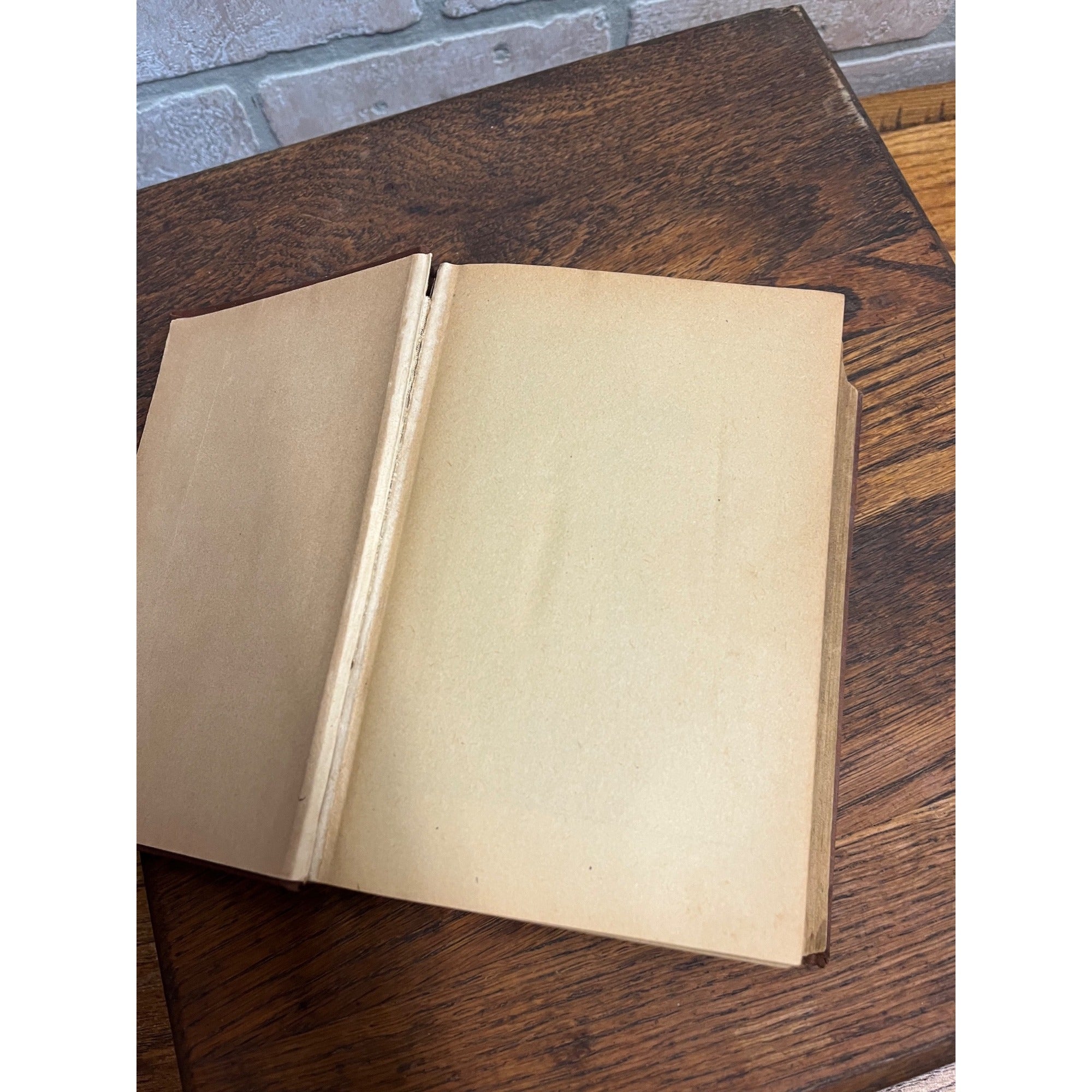 The Universal Assistant or 1,000,000 Industrical Facts Hardcover Book Antique