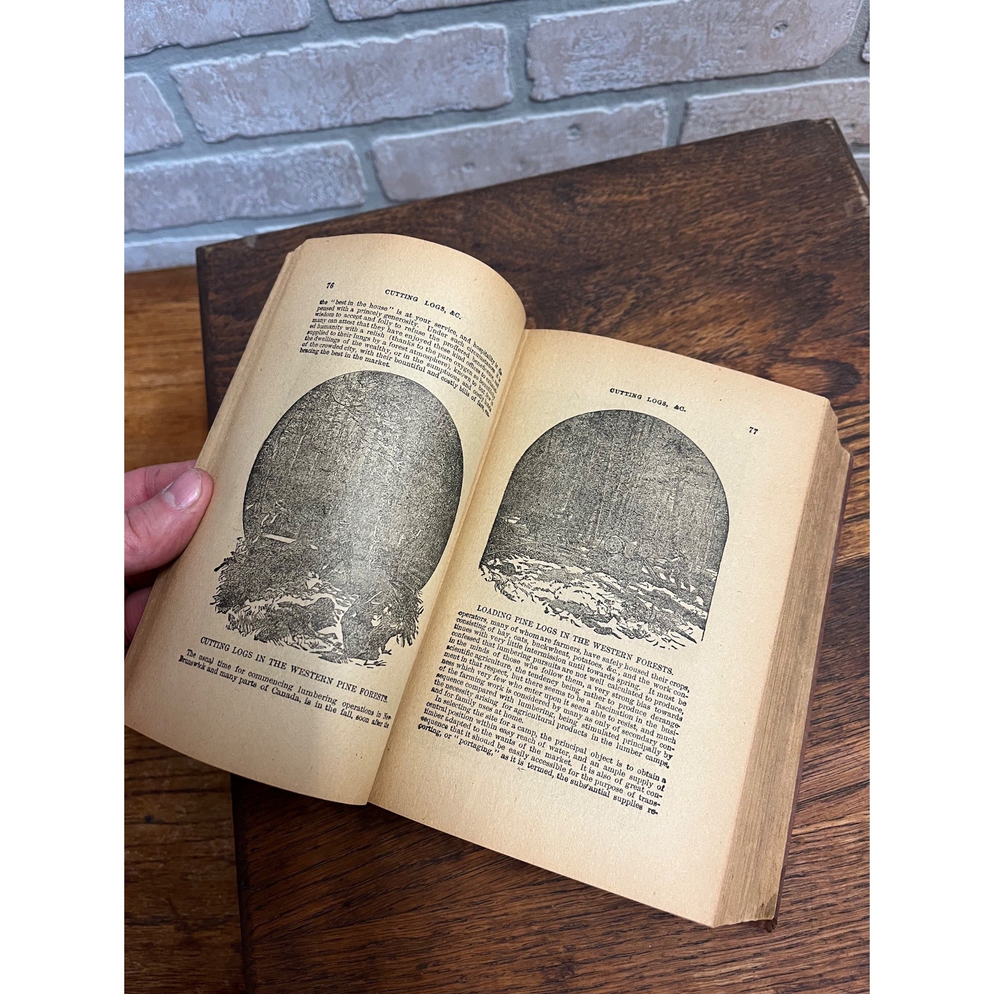 The Universal Assistant or 1,000,000 Industrical Facts Hardcover Book Antique