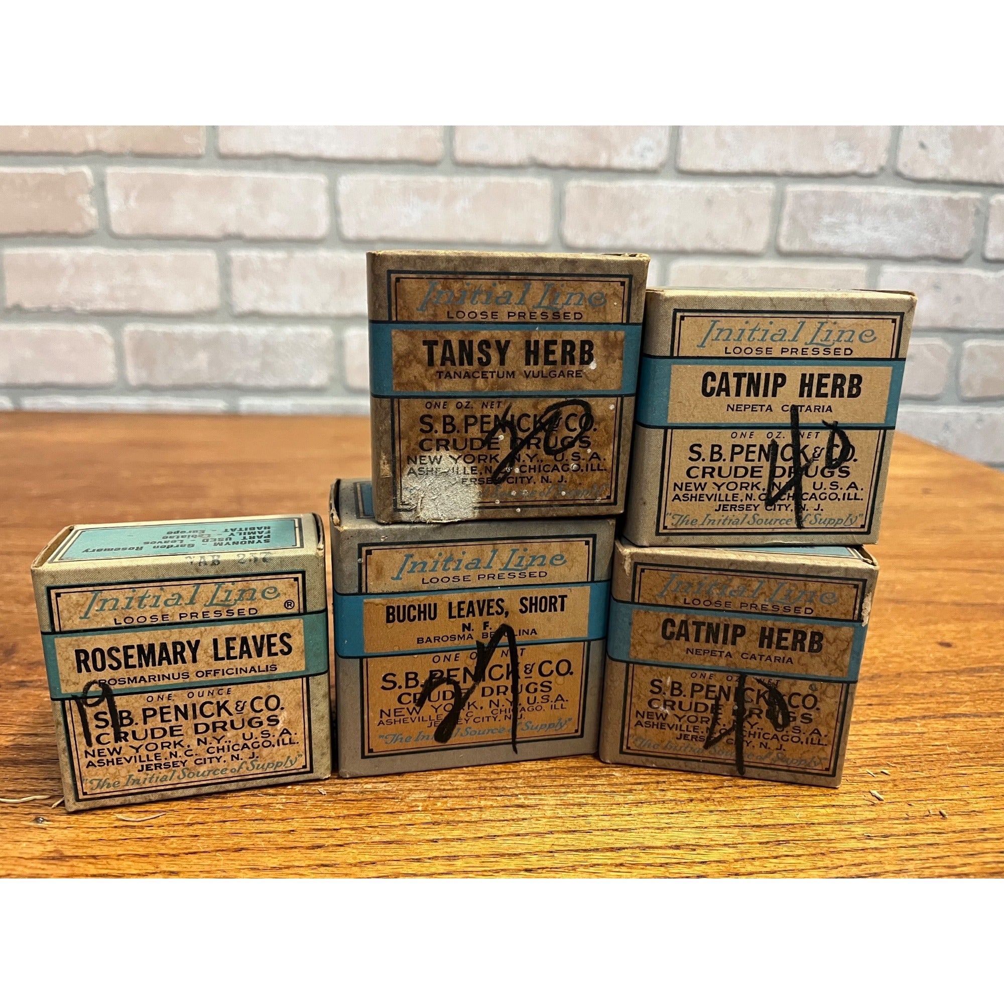 Lot 5 Antique Apothecary Herb Boxes Catnip Tansy Rosemary Buchu Druggist