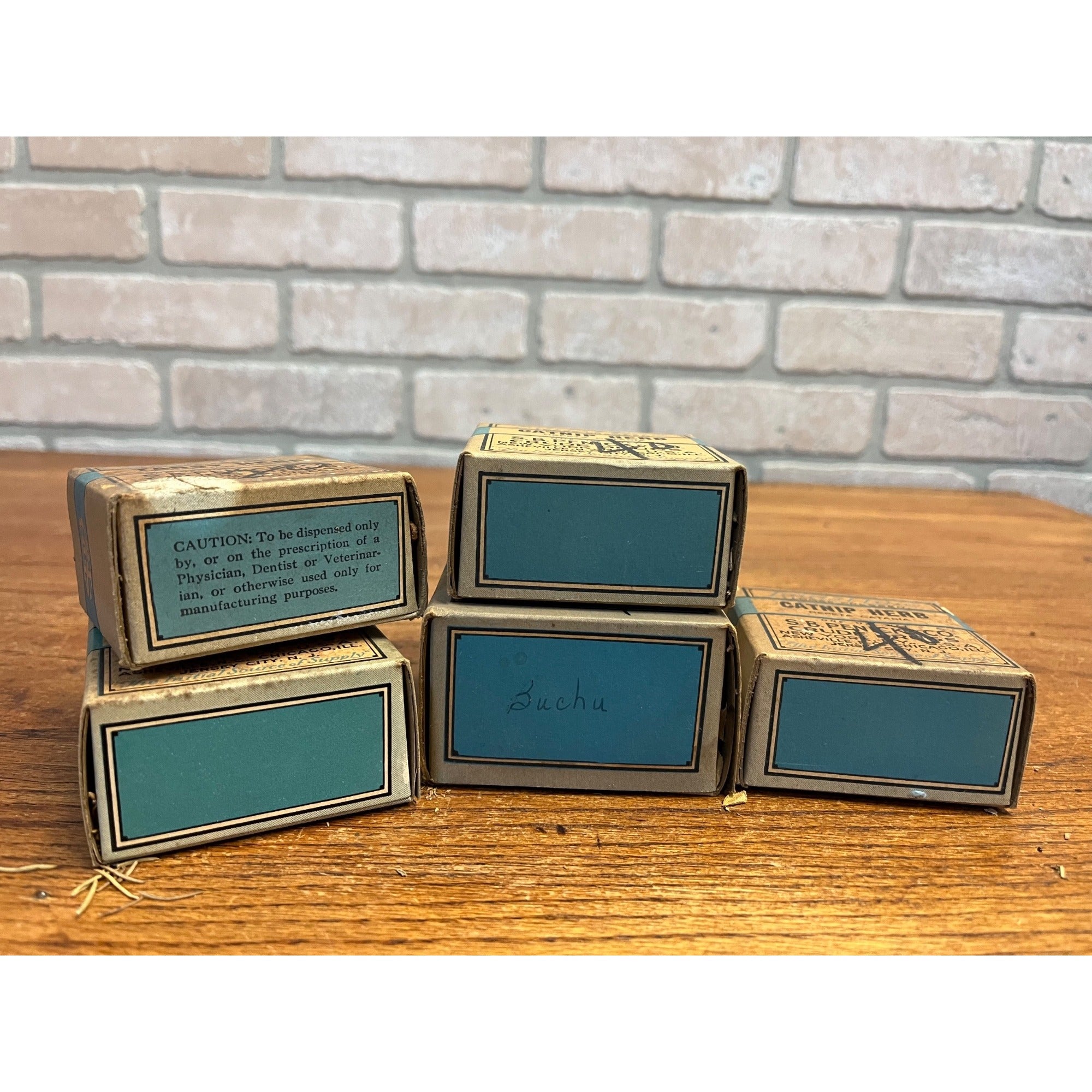 Lot 5 Antique Apothecary Herb Boxes Catnip Tansy Rosemary Buchu Druggist