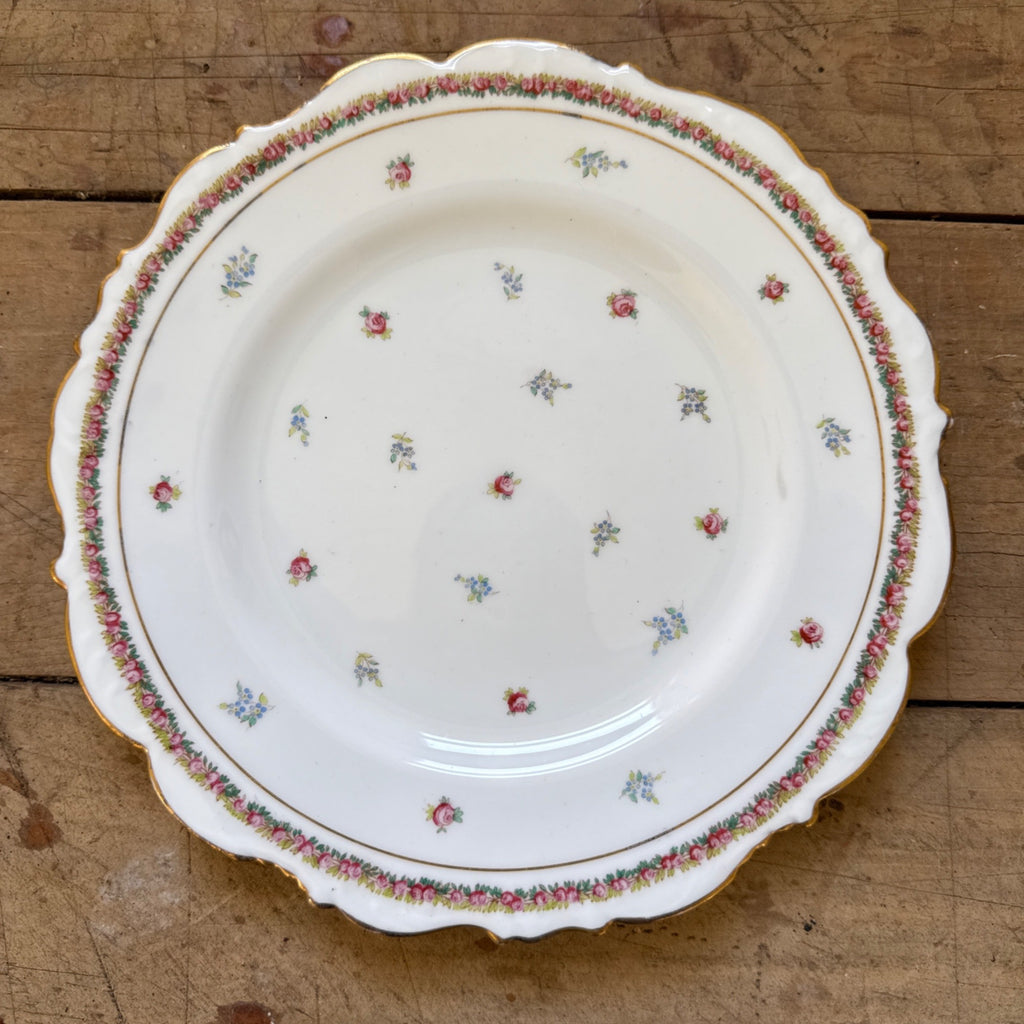 Vintage Westhead Moore "Cauldon" 9" Luncheon Plate England China Scattered Roses