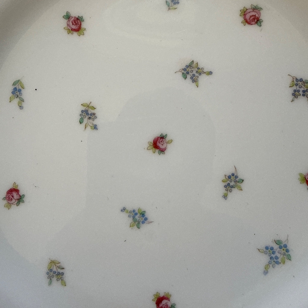 Vintage Westhead Moore "Cauldon" 9" Luncheon Plate England China Scattered Roses