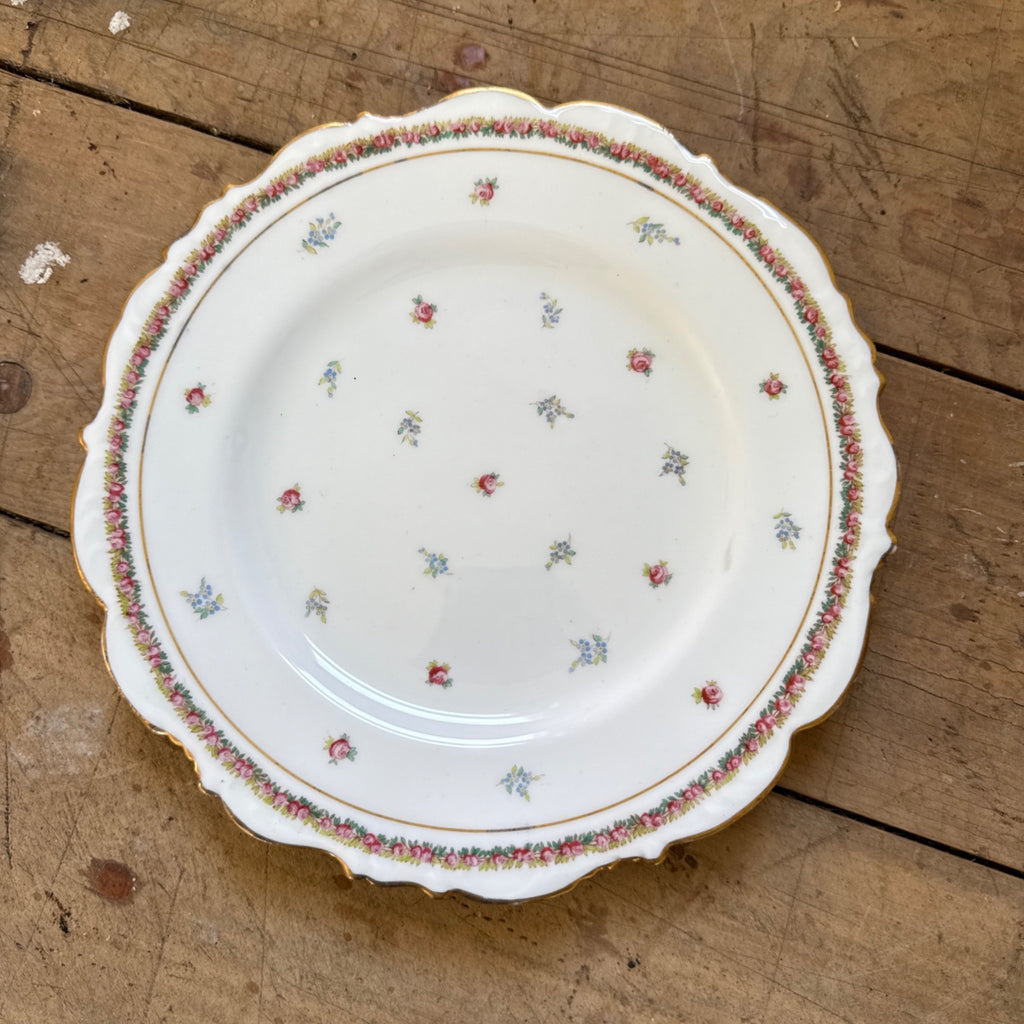 Vintage Westhead Moore "Cauldon" 9" Luncheon Plate England China Scattered Roses