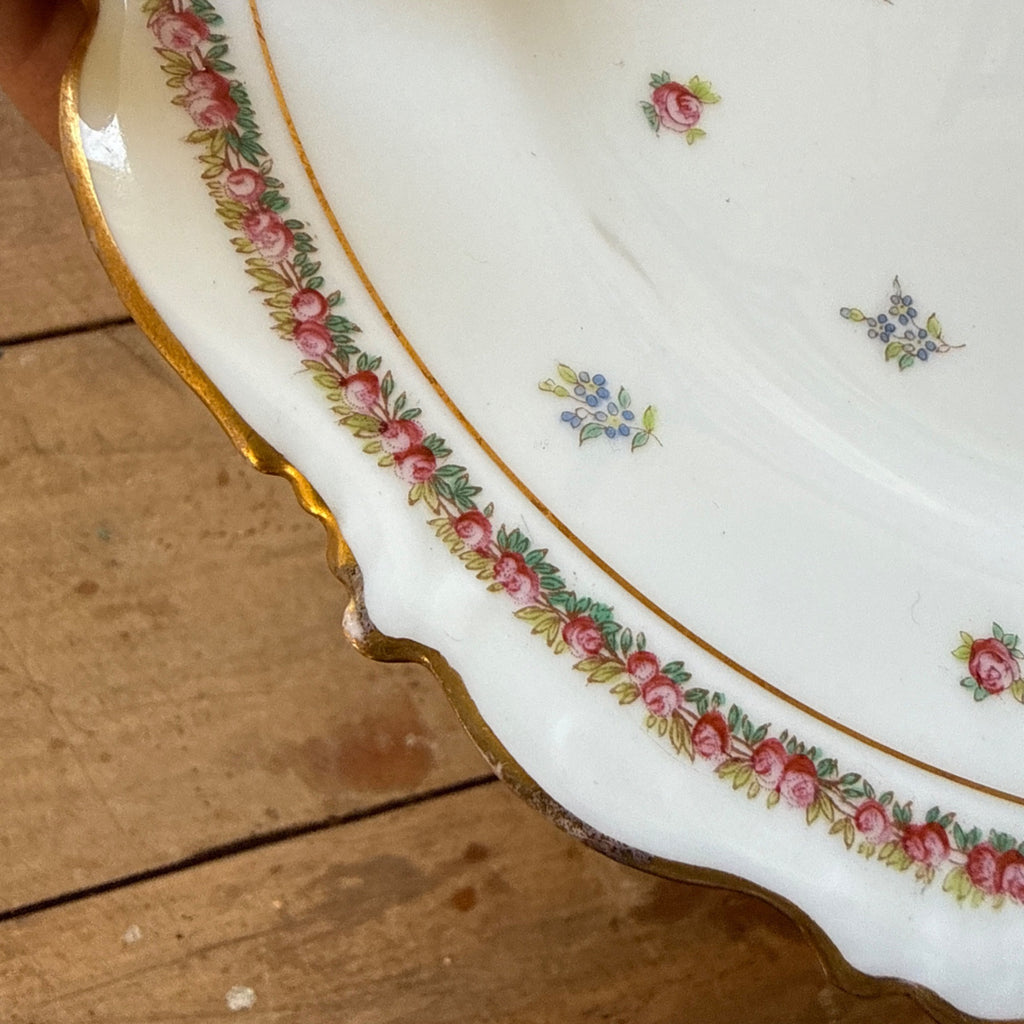 Vintage Westhead Moore "Cauldon" 9" Luncheon Plate England China Scattered Roses