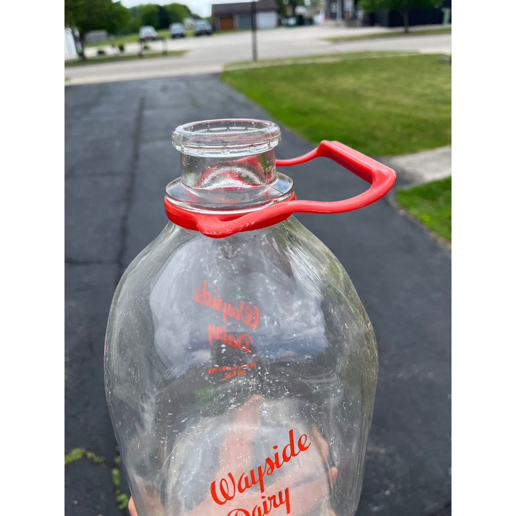 Vintage Wayside Dairy Belgium Wisconsin Wis WI ONE GALLON Glass Milk Bottle