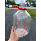 Vintage Wayside Dairy Belgium Wisconsin Wis WI ONE GALLON Glass Milk Bottle