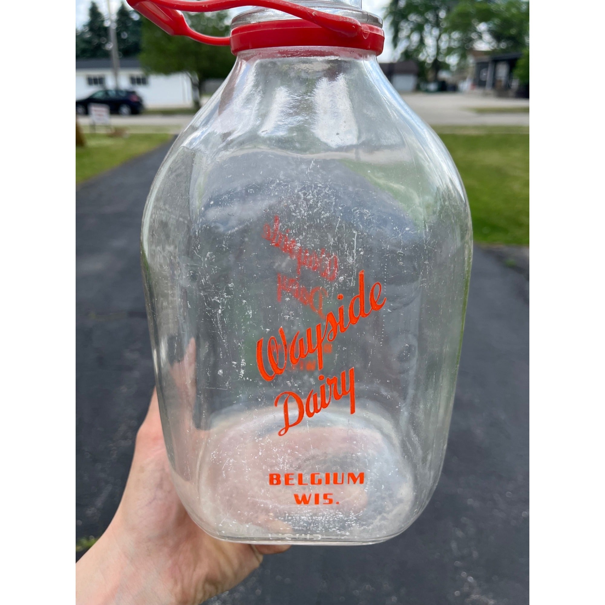 Vintage Wayside Dairy Belgium Wisconsin Wis WI ONE GALLON Glass Milk Bottle