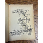 1915 Young Folks Railroad Stories Book. Charles E. Graham & Co. RARE Antique