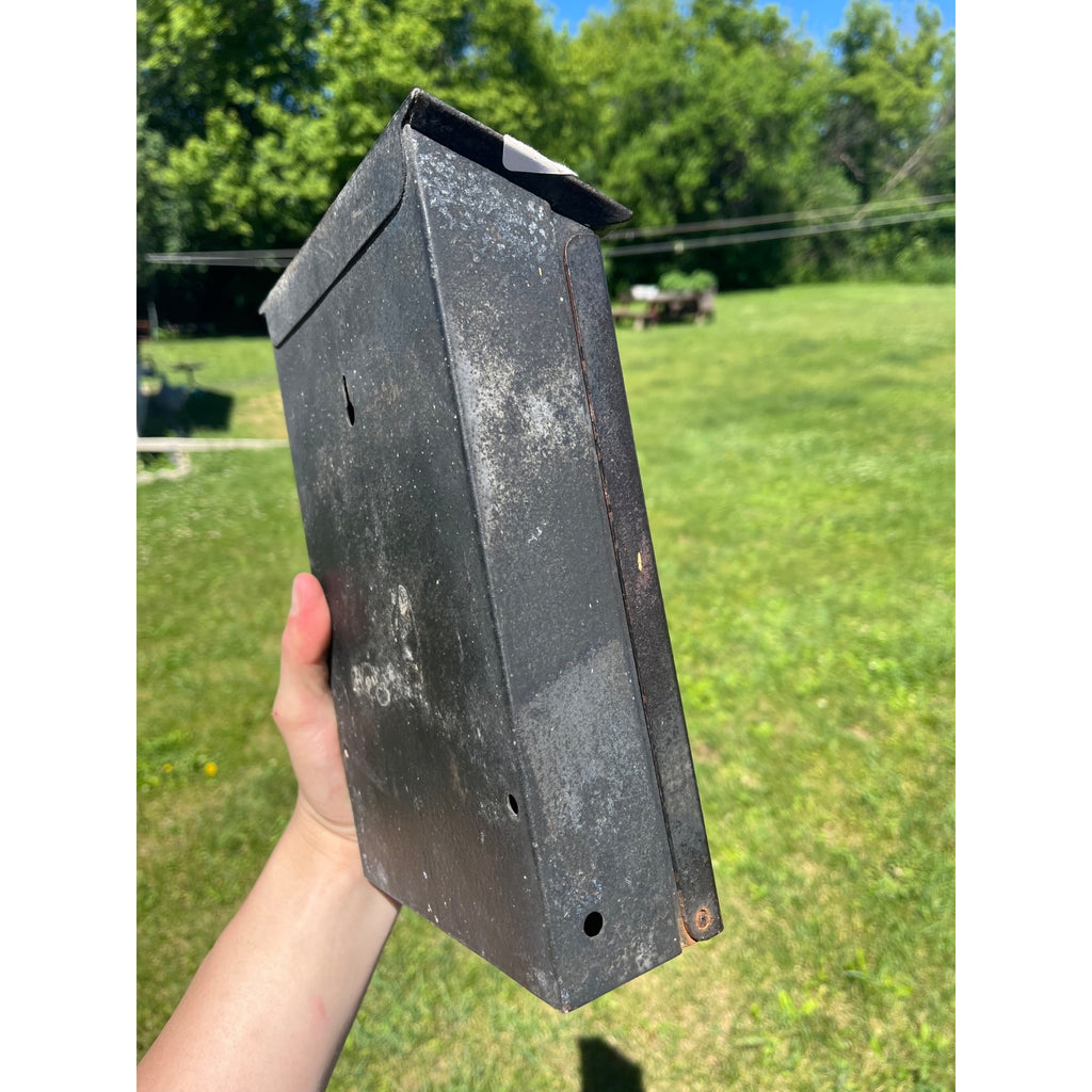 Vintage US Mailbox Mail Letters Flip Door Slot Wall Mounted Metal Gothic Arts & Crafts