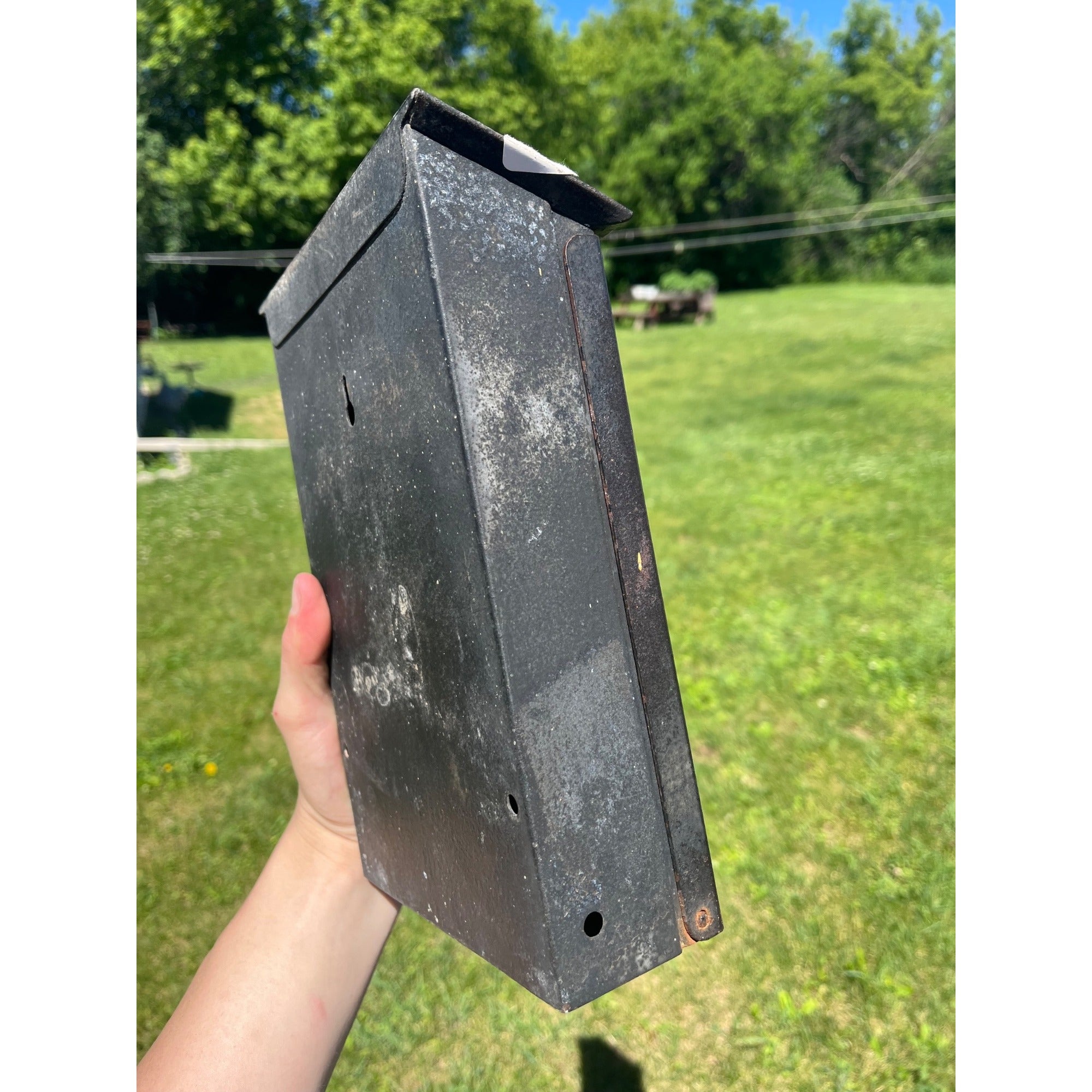 Vintage US Mailbox Mail Letters Flip Door Slot Wall Mounted Metal Gothic Arts & Crafts