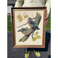 Vintage Wood Duck Framed Art Print Don Richard Eckelberry Framed