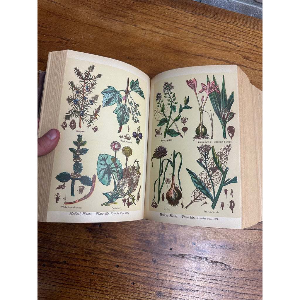 Antique 1901 The Book of Health Family Physician Illustrated Color Plates