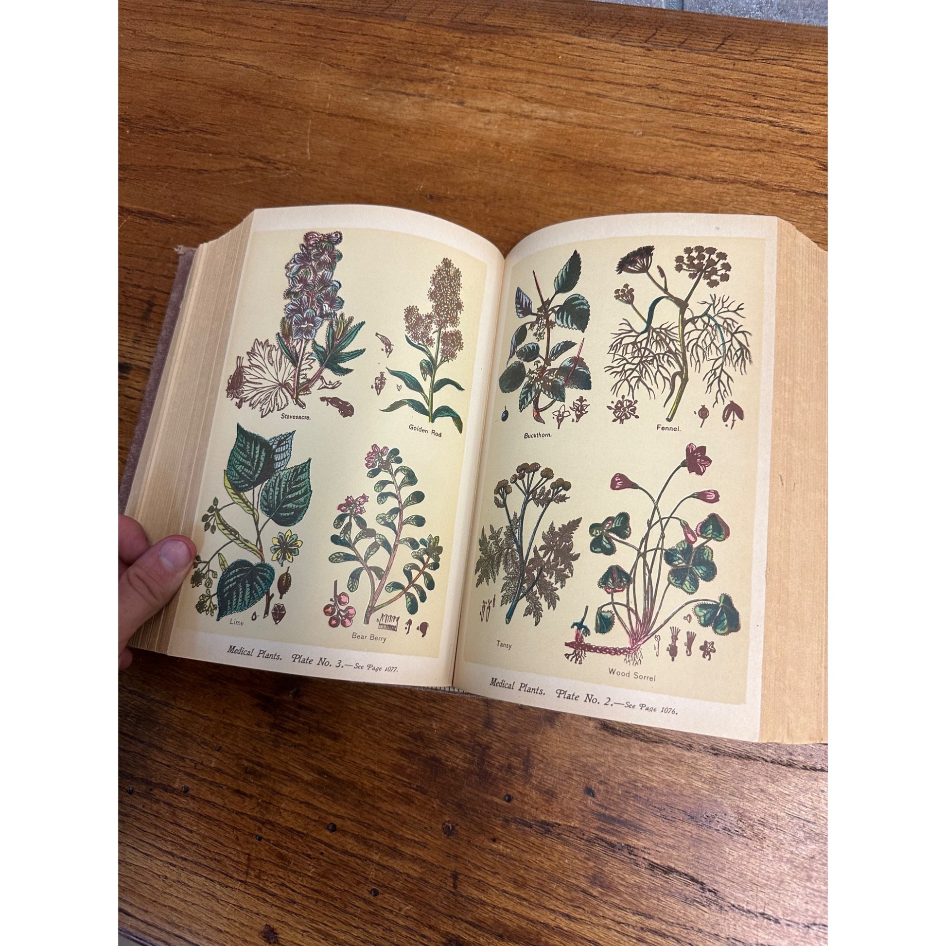 Antique 1901 The Book of Health Family Physician Illustrated Color Plates