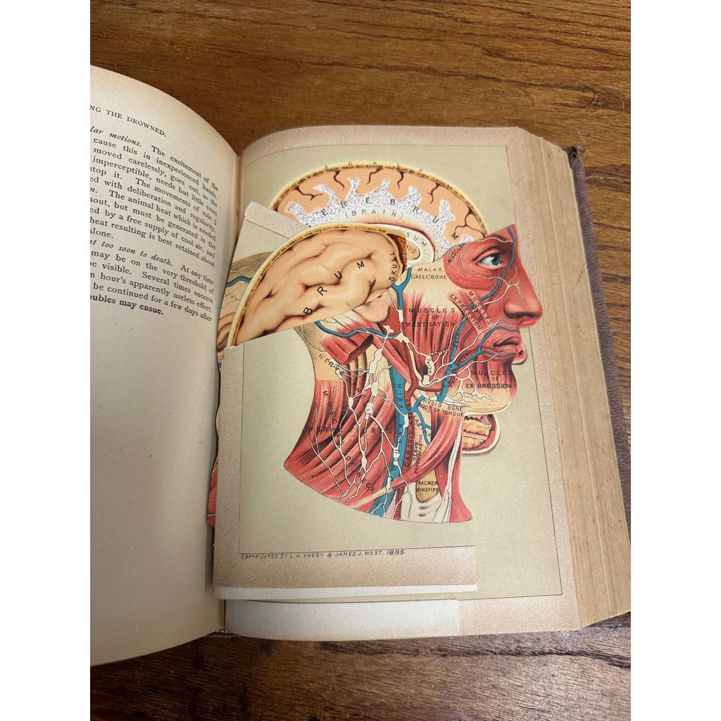 Antique 1901 The Book of Health Family Physician Illustrated Color Plates