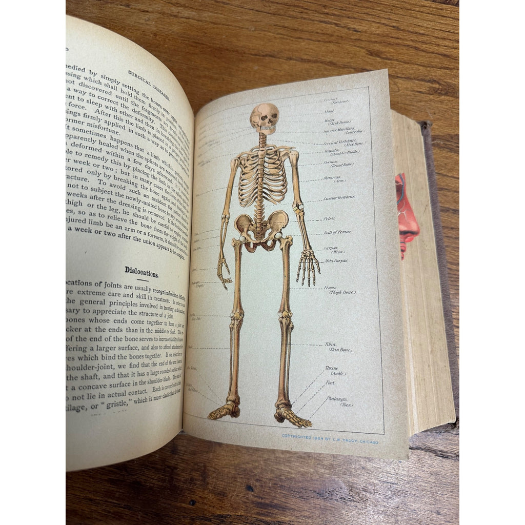 Antique 1901 The Book of Health Family Physician Illustrated Color Plates