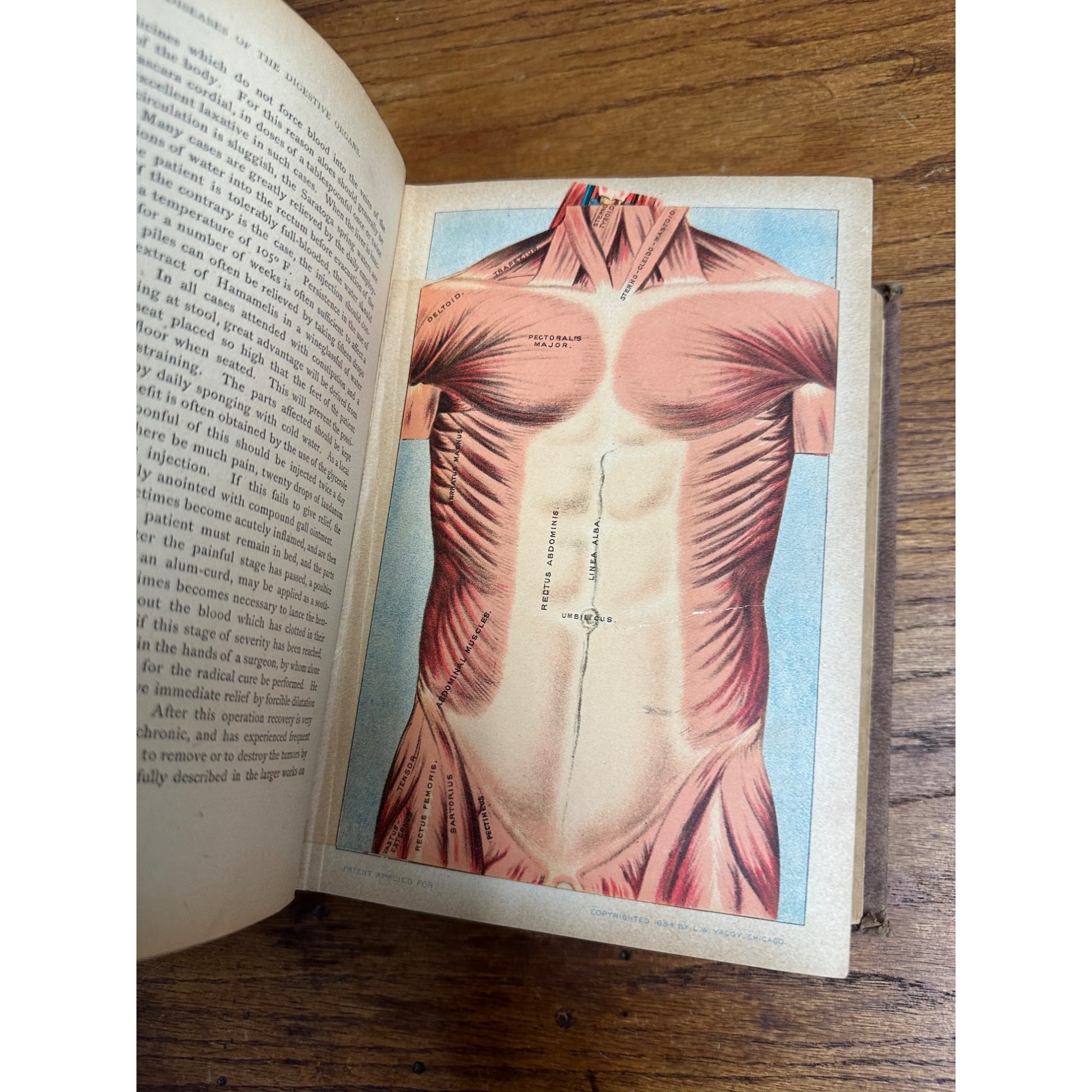 Antique 1901 The Book of Health Family Physician Illustrated Color Plates
