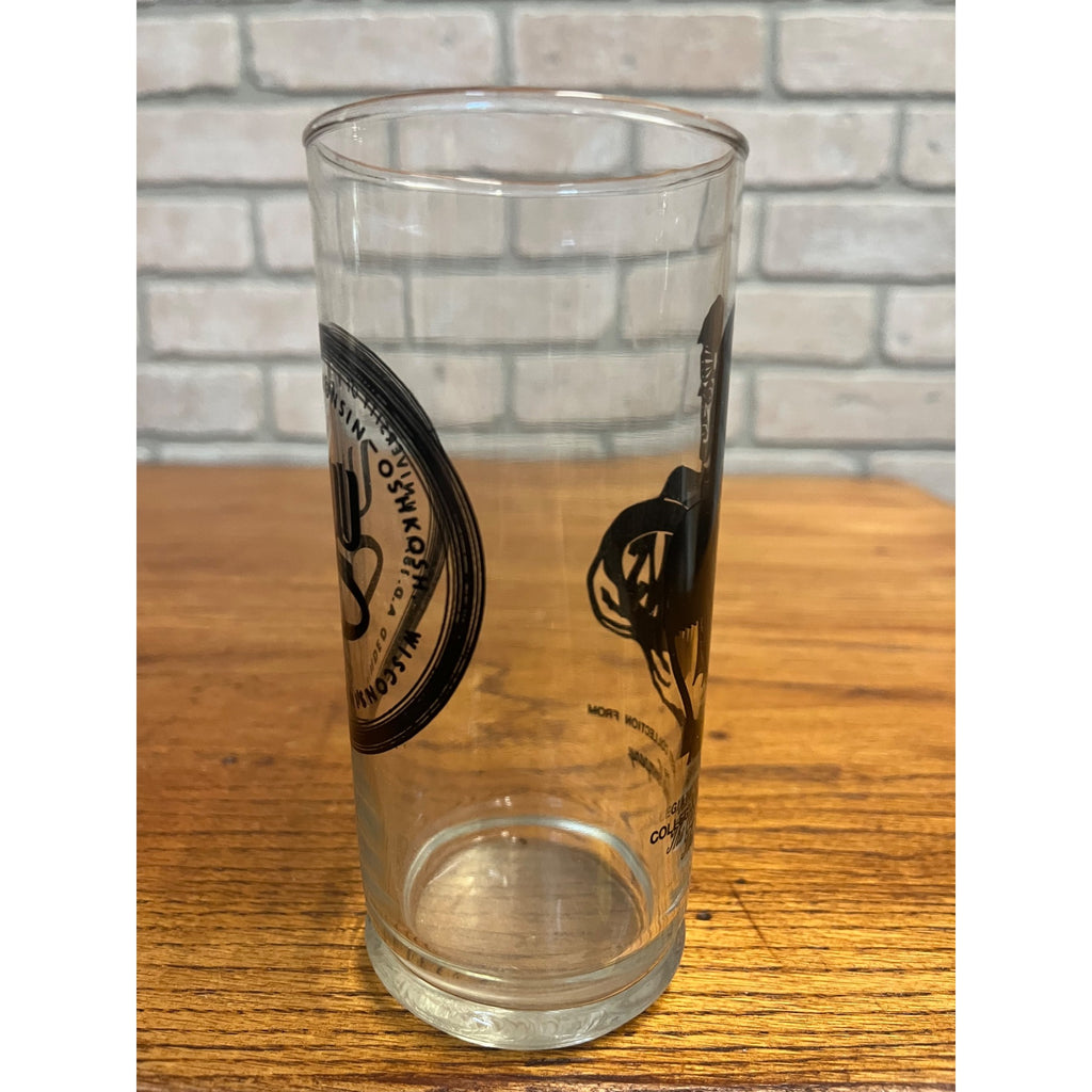UWO Oshkosh Wisconsin Titans Collegiate Crest Collection Glass Coca Cola Coke