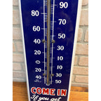 RARE Antique Nature's Remedy Liver Medicine Porcelain Thermometer Advertising