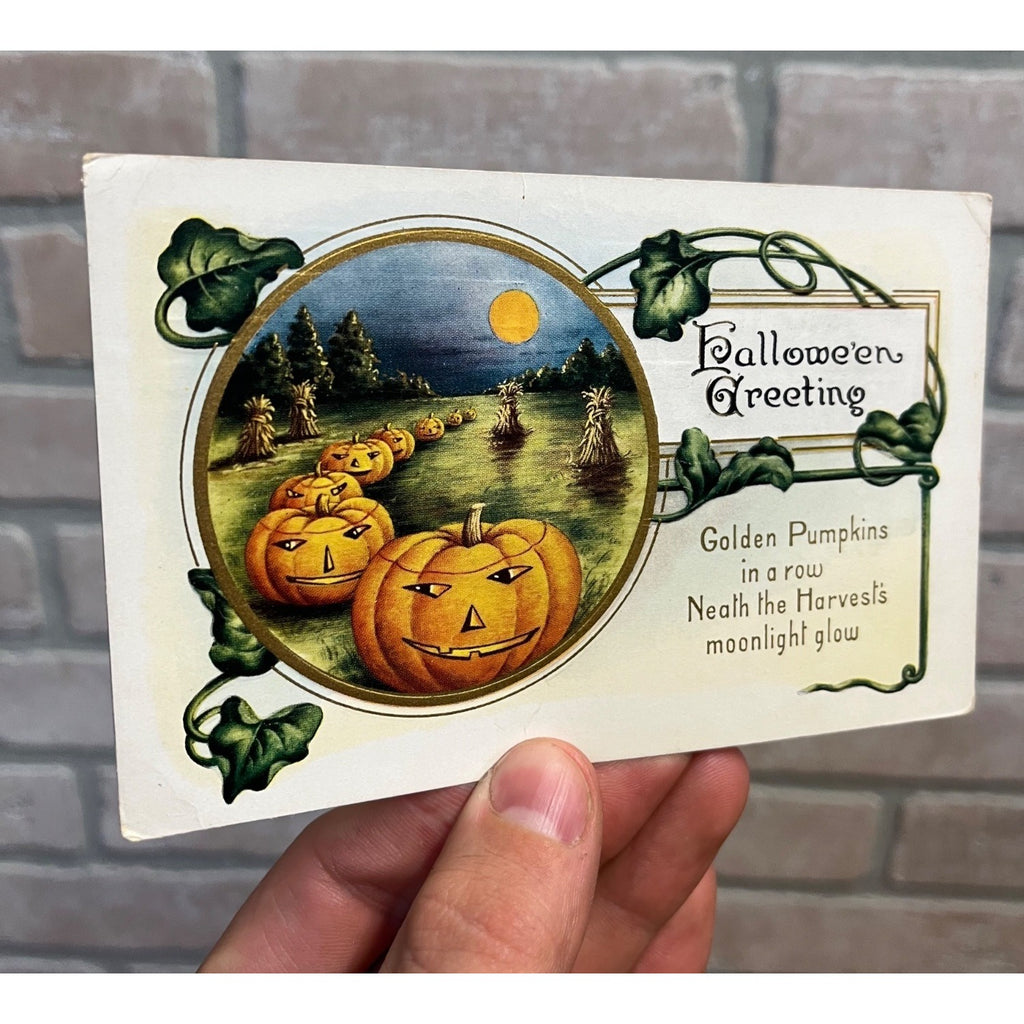1916 Whitney Made Halloween Postcard Golden Pumpkins In a Row Neath the Harvest