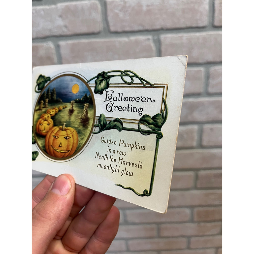 1916 Whitney Made Halloween Postcard Golden Pumpkins In a Row Neath the Harvest