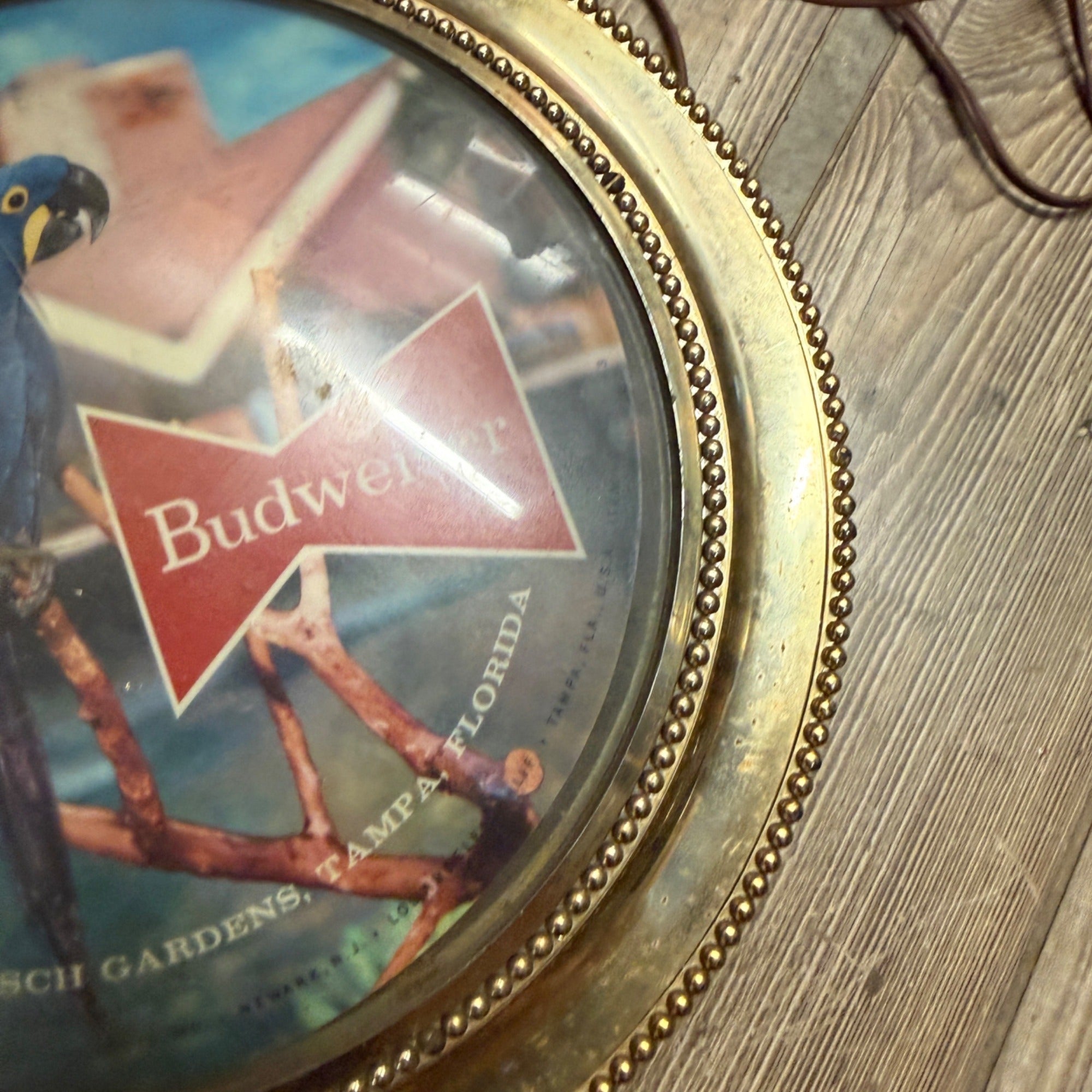 VTG Double Sided 1950s Budweiser Pocket Watch Clock Lighted Parrot Bird Bar Sign As-Is