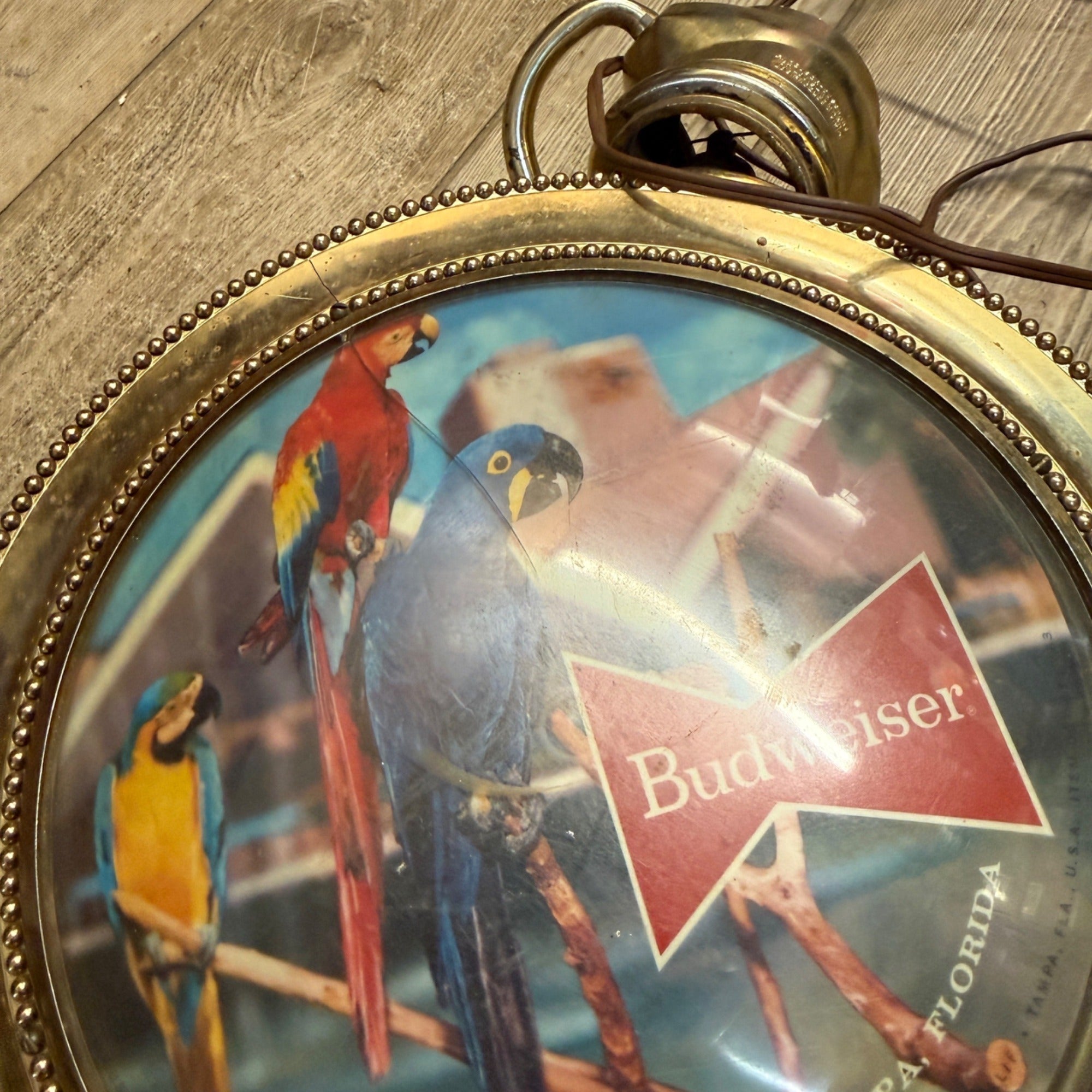 VTG Double Sided 1950s Budweiser Pocket Watch Clock Lighted Parrot Bird Bar Sign As-Is