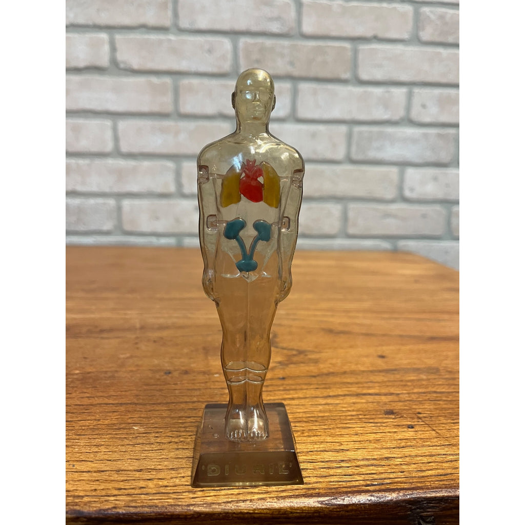 Vintage 1950s Hydro Diuril Merck Sharp Dohme Pharmaceutical Advertising Figure