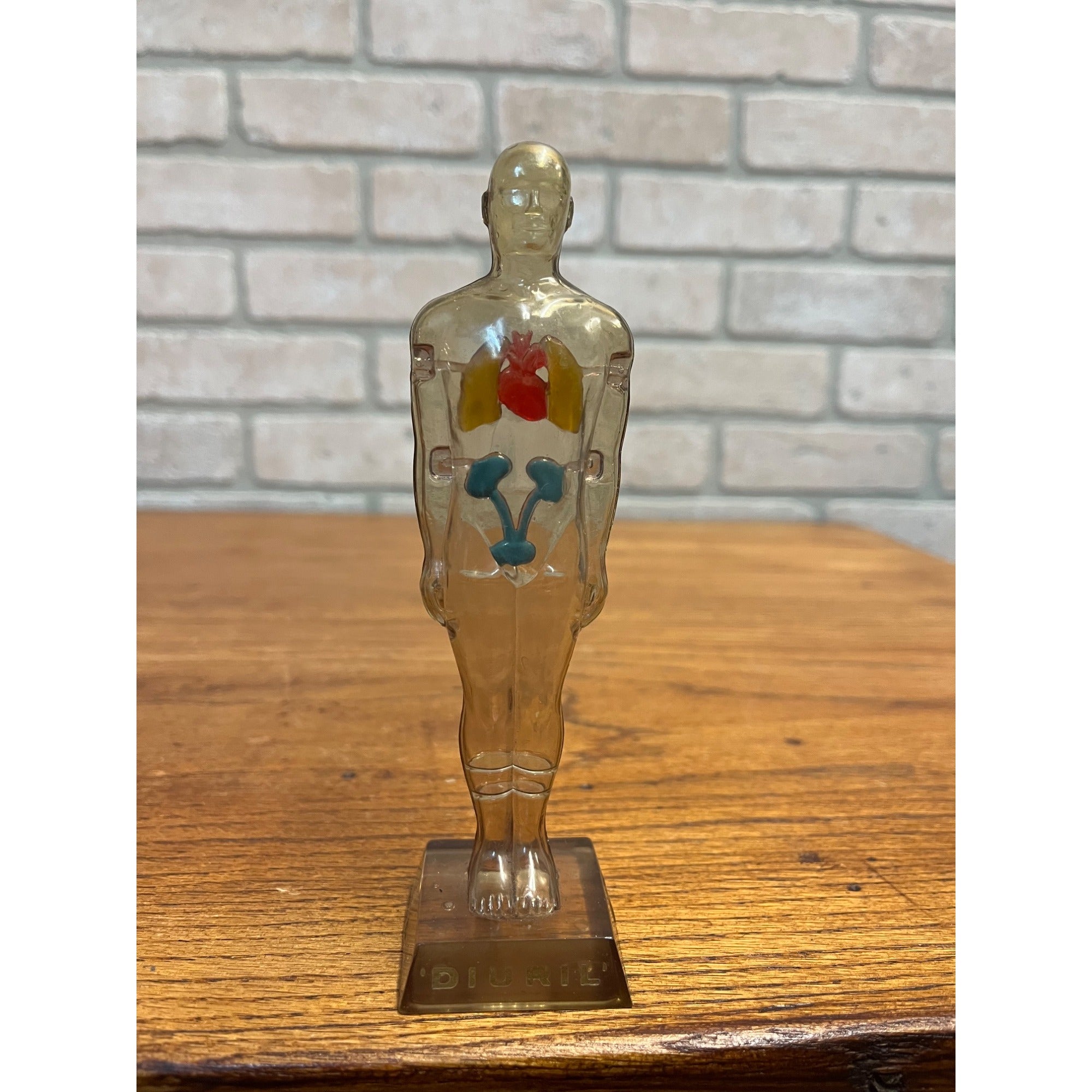 Vintage 1950s Hydro Diuril Merck Sharp Dohme Pharmaceutical Advertising Figure